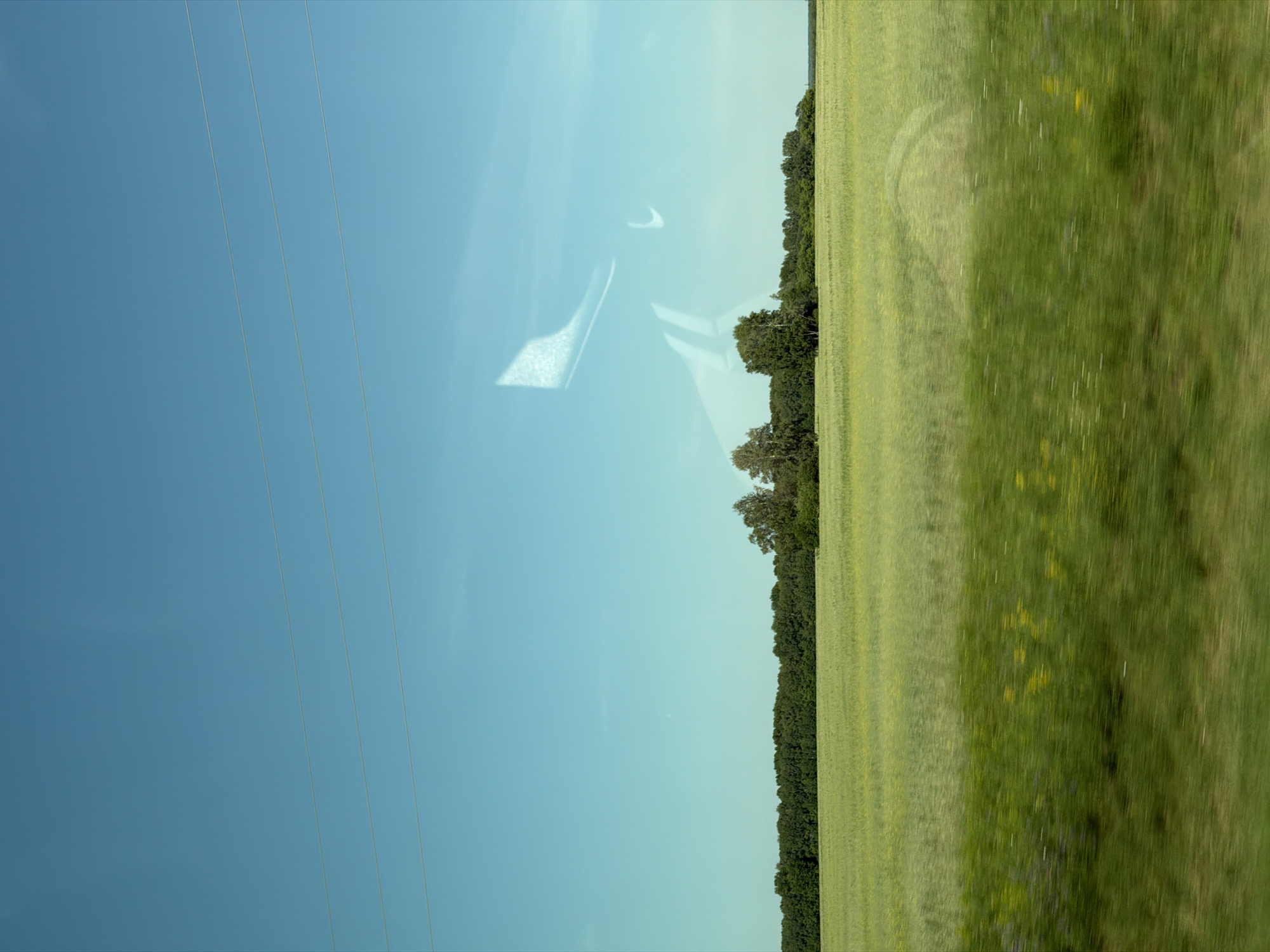 The image depicts a vast, sunlit landscape under a clear blue sky, bisected by three horizontal power lines. In the mid-ground, a dense line of dark green trees forms a natural border. Beyond the trees, a field of pale green crops, possibly wheat or barley, stretches towards the horizon. The foreground features a blurred strip of vibrant green grass, suggesting movement, perhaps from a vehicle. The overall scene is serene and rural, characteristic of the outskirts of Bezmenovo, Russia. There are no people or animals visible.