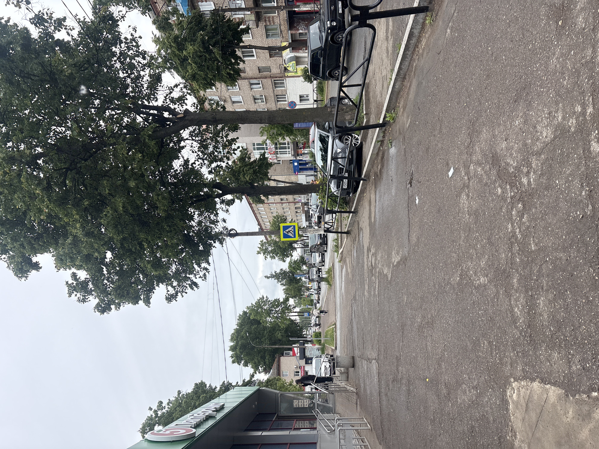 This street scene, likely in Chaikovsky, Russia, captures an urban environment on an overcast day. The image is oriented sideways, but when viewed upright, it shows a road stretching into the distance on the right, flanked by a sidewalk and trees on the left.
In the foreground, the edge of a building with a green awning is visible on the left. A red circular logo with a distinctive 'S' shape and partially visible Cyrillic text, likely "СБЕРБАНК" (Sberbank), is on the awning. A person stands on the steps leading into this building. The sidewalk in the foreground is grey asphalt.
Moving further down the street, a metal barrier separates the sidewalk from a row of parked cars. These cars, including a dark SUV-like vehicle and a dark sedan (with a visible Russian license plate P505У or similar), line the curb. Trees with dense green foliage are prominent on the left, shading parts of the street. Utility poles and overhead wires crisscross the sky.
Across the street, a pedestrian crossing sign (yellow square with a black pedestrian symbol) is clearly visible. Further down, another blue and red "No Stopping" sign (a red circle with a diagonal line) is on a pole. Beyond the parked cars and trees, a row of multi-story buildings, appearing to be residential or mixed-use, form the background. One building has a yellow rectangular sign with the Cyrillic text "МАГАЗИН" (Magazin - Shop).
The sky is uniformly grey and overcast, indicating a cloudy daytime. The asphalt road surface appears slightly worn and damp in places. Several people are visible in the distance, walking along the sidewalk or near buildings, engaging in typical daily activities. The overall impression is of a quiet, functional street in a Russian town.