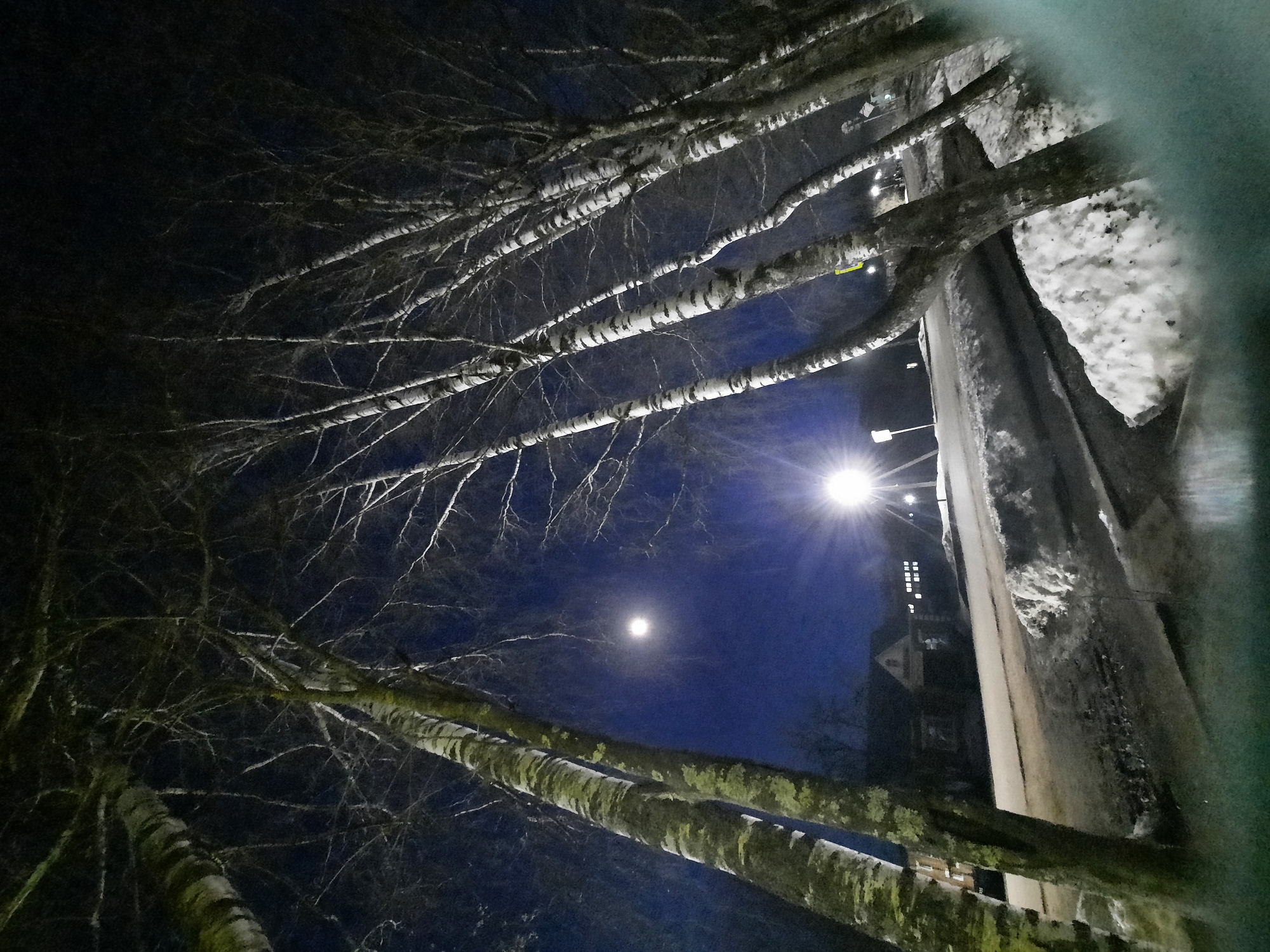 The image, taken from a low angle, depicts a night scene in what appears to be Krasnogorskoye, Russia. Several tall trees with light-colored bark stretch across the frame, their bare branches reaching toward the dark blue sky. Two bright celestial objects, a streetlamp and the moon, illuminate the scene. A dark building with visible windows is situated near the streetlamp. Next to the buildings there is a large concrete structure covered with snow. The scene is predominantly dark, creating a stark contrast between the illuminated objects and the surrounding environment.