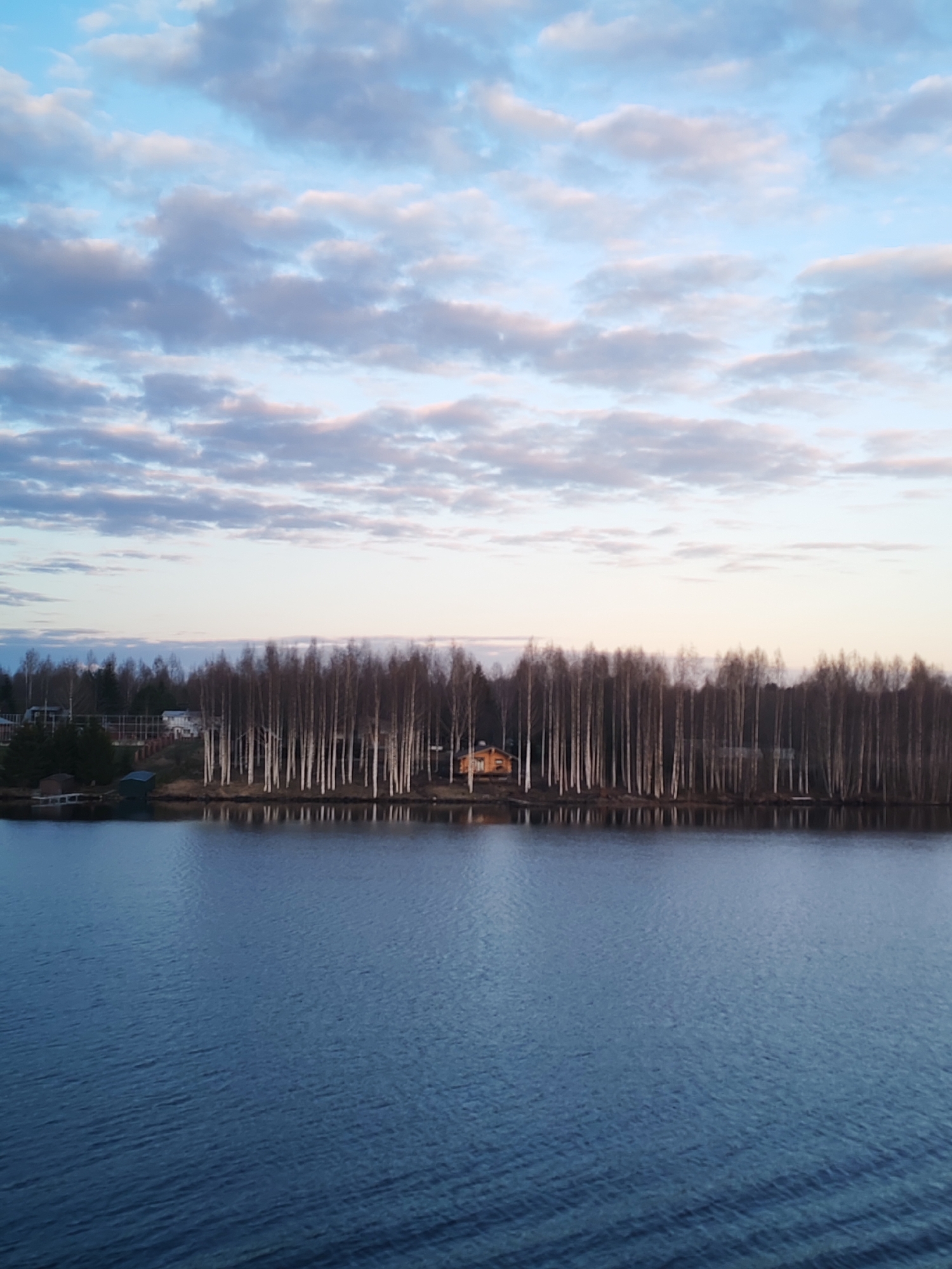 The image presents a tranquil landscape scene at what appears to be either dawn or dusk. The upper half of the frame is filled with a soft blue sky, transitioning from lighter tones near the horizon to a deeper blue overhead, adorned with scattered, fluffy clouds in shades of white and light grey, some with hints of pink.
A distinct horizontal band across the middle of the image shows a tree-lined shore bordering a body of water. The trees are predominantly tall, slender deciduous varieties, likely birches, given their light-colored trunks and bare branches, suggesting late autumn, winter, or early spring. Among these trees, several small houses and buildings are visible. On the left side of the shore, there are some darker, evergreen trees, and a structure resembling a dock or boathouse extends into the water. A prominent light-brown house is partially visible further back on the right side of the tree line.
The lower half of the image is occupied by a calm, blue body of water, likely a lake or a wide river. Gentle ripples texture its surface, and the reflections of the bare trees from the opposite shore are clearly visible in the still water.
There are no people or specific activities taking place, contributing to the peaceful atmosphere. The light conditions indicate a soft, low sun. No visible text is present in the image. The scene depicts a quiet natural environment with sparse human habitation, consistent with a rural or semi-rural setting like Раменье, Russia.