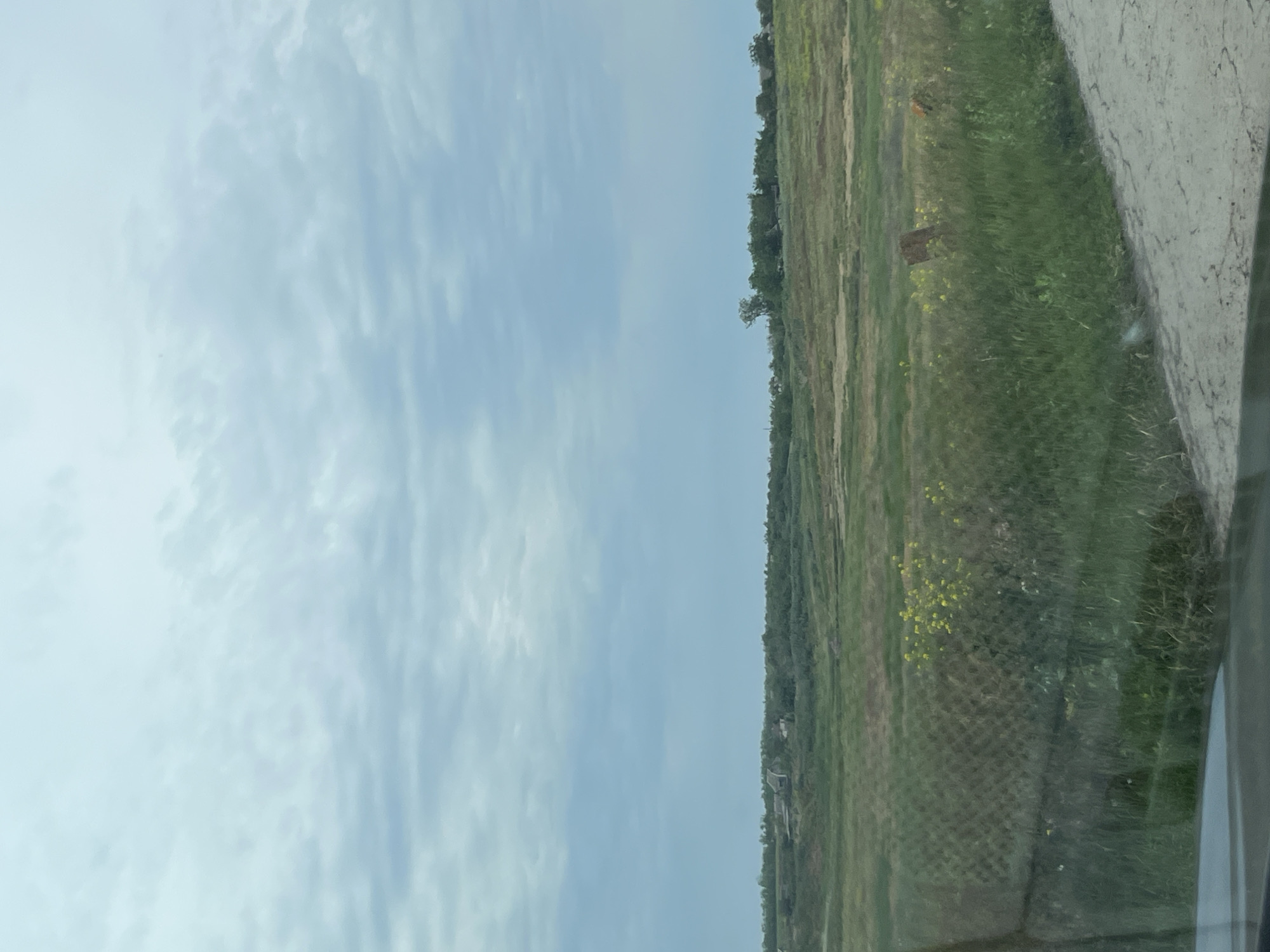 This image depicts an overcast rural landscape in Poltavka, Ukraine. The upper half of the frame is dominated by a light blue-grey sky filled with diffused, scattered cloud formations, appearing brighter towards the top. The horizon, approximately midway up the image, features a distant treeline interspersed with scattered residential or agricultural buildings. On the left side of the distant horizon, several structures are visible, one with a distinct light-colored roof, partially obscured by trees. Towards the right side, a cluster of buildings and trees, including one tall, slender tree, marks another distant settlement.
The mid-ground consists of expansive fields displaying a mix of green and brownish-green vegetation. Patches of bright yellow flowers are visible throughout these fields, most notably in the mid-left foreground. A dark, upright, rectangular object, consistent with a weathered wooden post or marker, is partially visible within the grass in the mid-right. The bottom edge of the photograph reveals the dark grey interior of a vehicle, likely the dashboard or windshield frame. A light-colored dirt path or road is present in the bottom right corner, angling slightly into the scene, bordered by dense green grass. A faint, grid-like pattern is superimposed over a section of the field in the mid-left, suggesting the image was captured through a screen or patterned window. No individuals or specific actions are visible.