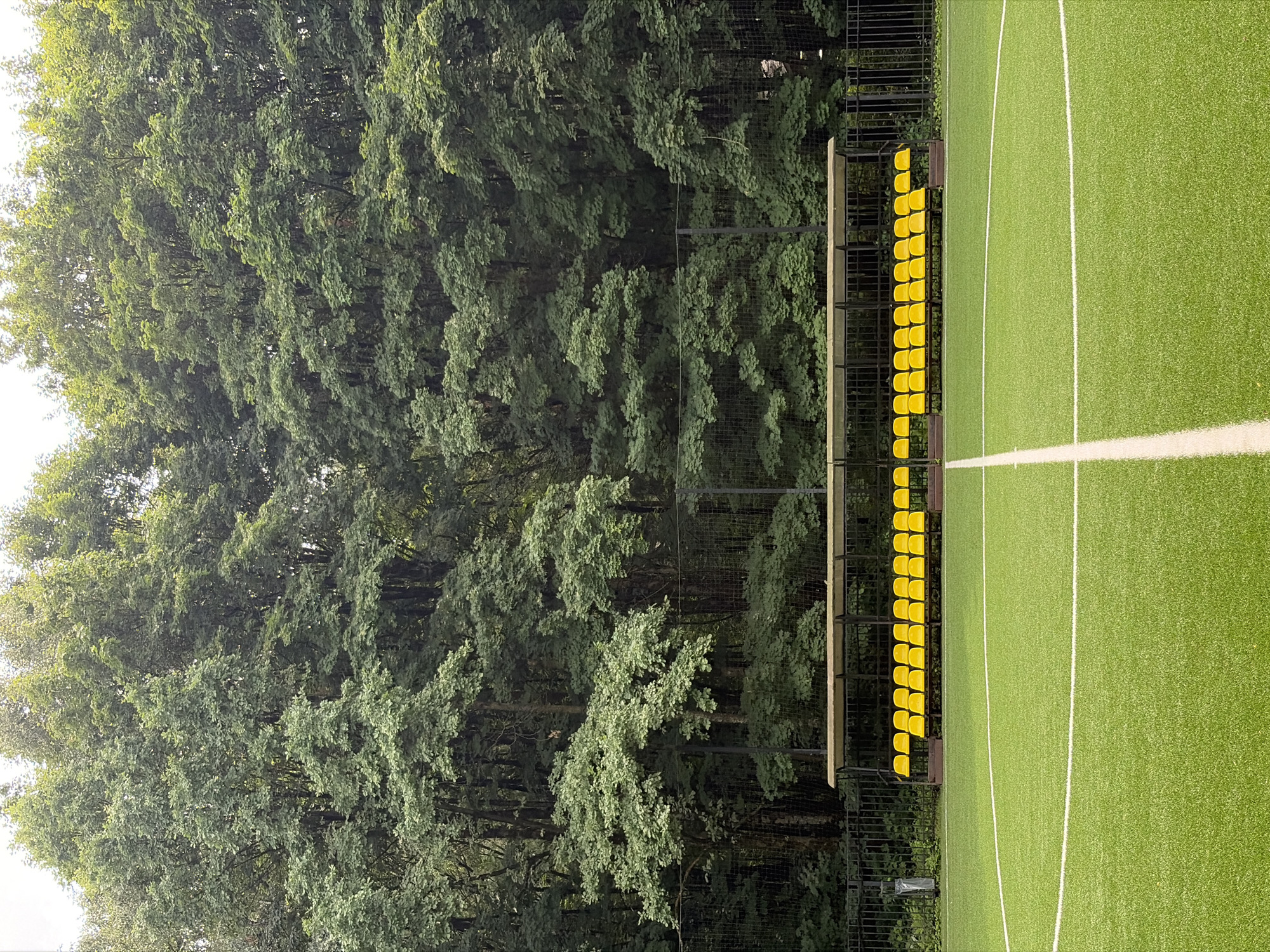 The image shows an empty artificial turf soccer field with bright yellow bleachers in the background, situated against a dense backdrop of lush green trees. A black chain-link fence separates the field from the bleachers and the wooded area. The field has white markings for a soccer pitch, including a center line and a curved boundary line. The sky above is overcast and appears bright, suggesting it is daytime. The scene is devoid of any people. This soccer field is located in Moscow, Russia, likely within a park or recreational area, as indicated by the extensive tree line.