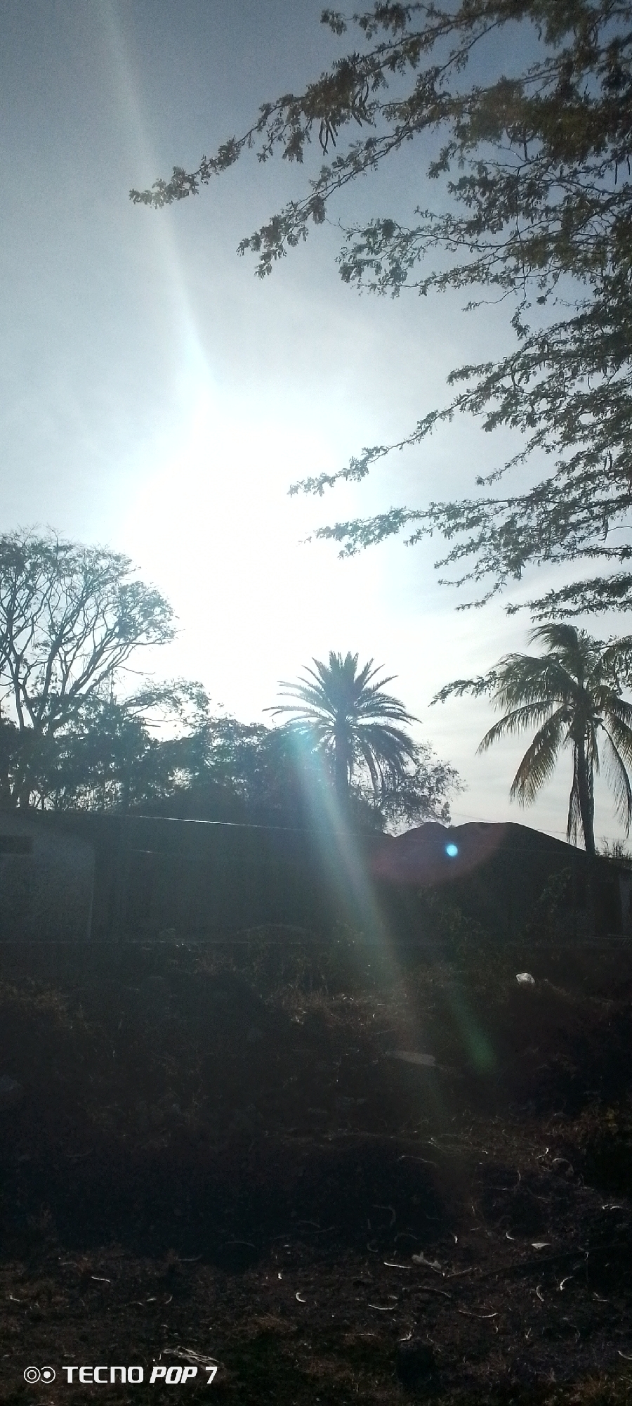 The image shows a landscape in Altagracia, Venezuela, under bright sunlight. Two palm trees are visible, one in the center and another on the right side of the frame. Other trees with denser foliage are also present. A building or structure is partially obscured by a pile of dark material, possibly dirt or construction debris. The foreground consists of dark, uneven ground. The sky is bright and hazy due to the sun's glare. The TECNO POP 7 watermark is in the lower left corner.