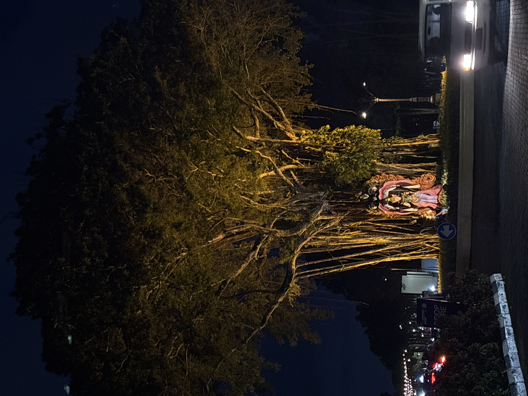 At night, the city street of Kuta Selatan, Indonesia is lined with trees and a sidewalk. A large tree occupies the left side of the frame. The tree's trunk is barely visible because its long, horizontal branches extend across the frame. At the base of the tree is a decorative statue. On the right, a street with parked cars has street lights. The background consists of street lights that lead far into the distance.