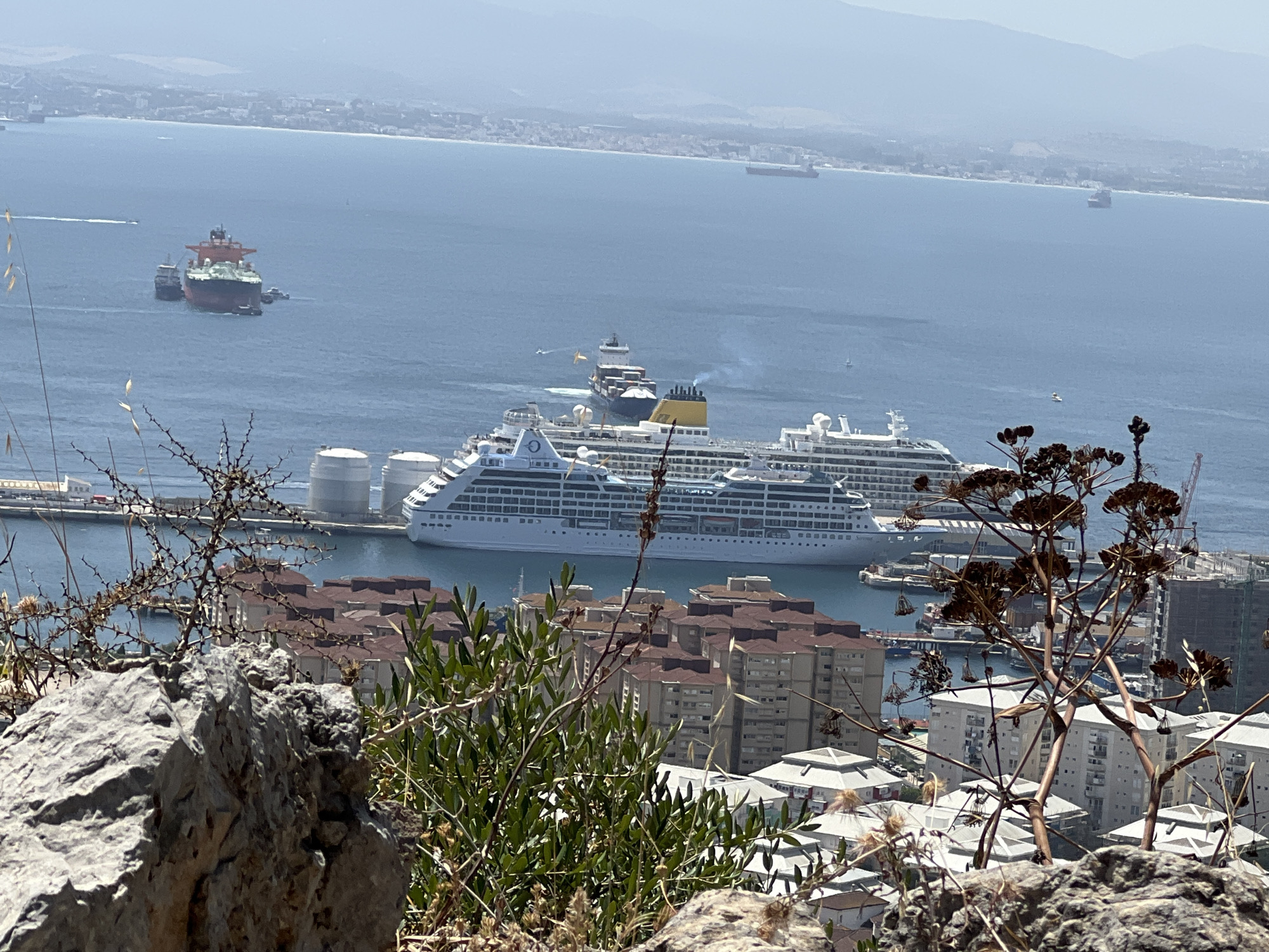 The image depicts a view of the city of Gibraltar, Gibraltar, from a high vantage point, likely from the Rock of Gibraltar. In the foreground, large gray rocks and dry vegetation partially obscure the view. Beyond the rocks, a dense cluster of multi-story apartment buildings with reddish-brown tiled roofs is visible. Further out, a large body of water, likely the Bay of Gibraltar, is seen. Several ships are present in the bay. Two large white cruise ships are docked near the shore. A container ship with a yellow superstructure is sailing in the middle of the bay, emitting smoke. A large oil tanker, red and black in color, is being assisted by tugboats. In the distance, the coastline of Spain is visible, with hills and mountains forming the backdrop. The sky is clear and bright, suggesting a sunny day.