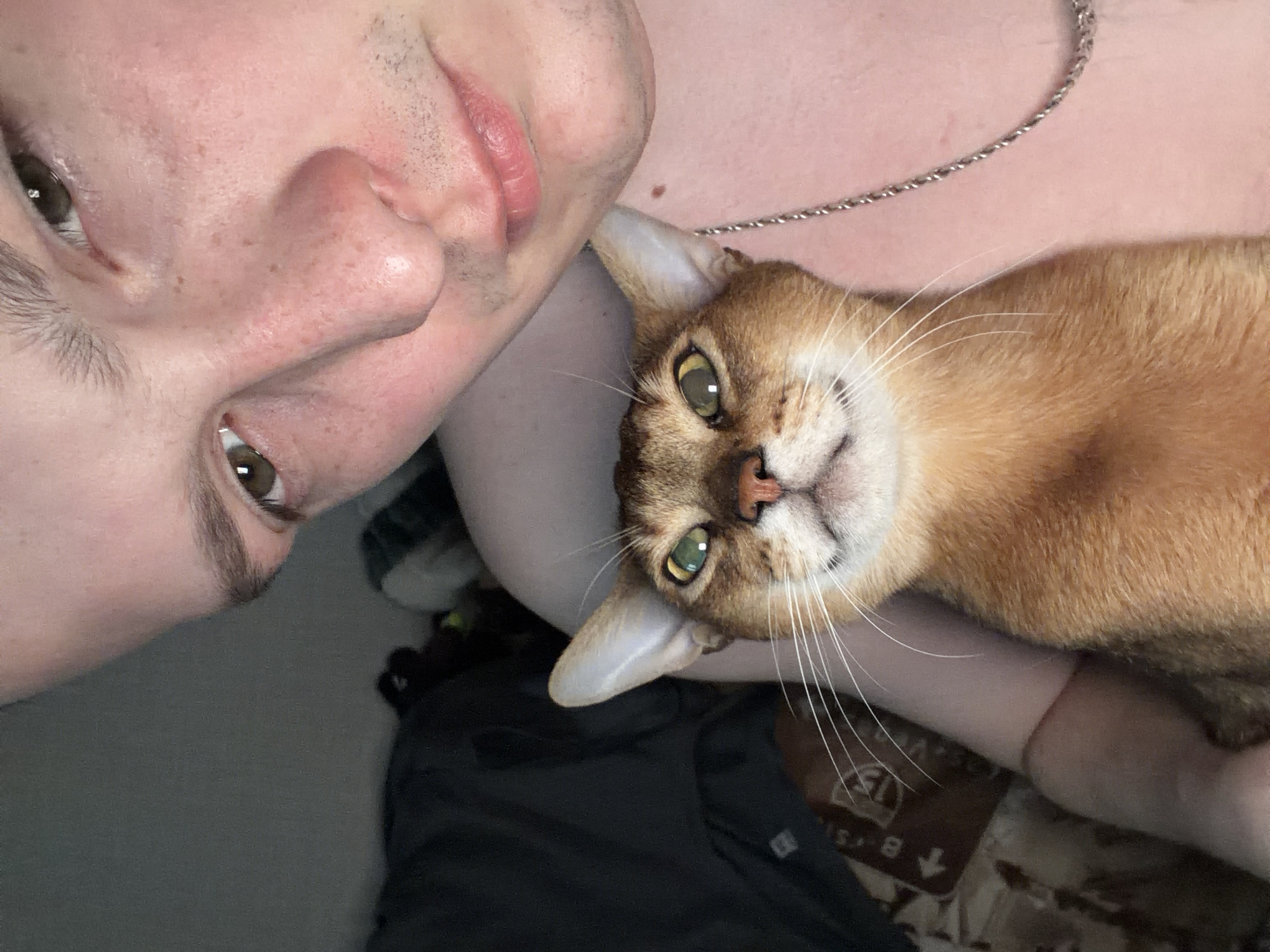 A close-up selfie captures a man and a cat in an intimate pose. The man's face, featuring light skin with freckles, is positioned in the upper left. His eyes are brown. His lips are closed. A silver chain necklace is visible on his chest. The cat, a golden-brown feline with piercing green eyes, is centered and looking directly at the camera. Its head is slightly tilted. The background is unclear. There is no evidence to suggest a location in the city of Chaikovsky, Russia.