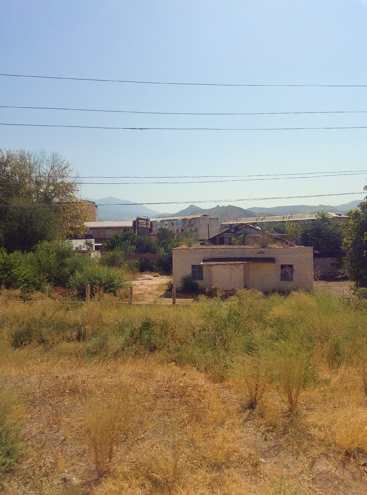The image depicts a view of the city of Taş-Kömür, Kyrgyzstan. In the foreground, dry, tall grass and bushes cover the ground. A low, light-colored brick building with two visible windows and a damaged roof is situated in the mid-ground, slightly to the right of the frame. Behind this building, there are several other structures, including a multi-story building with a sign, a longer, low-lying building with a corrugated metal roof, and further buildings in the distance. Trees and dense green foliage are interspersed among the buildings. The background consists of rolling, barren hills and mountains under a clear, pale blue sky. Overhead, four dark power lines stretch across the frame. The overall scene appears to be a rural or semi-urban area with older structures and natural vegetation.