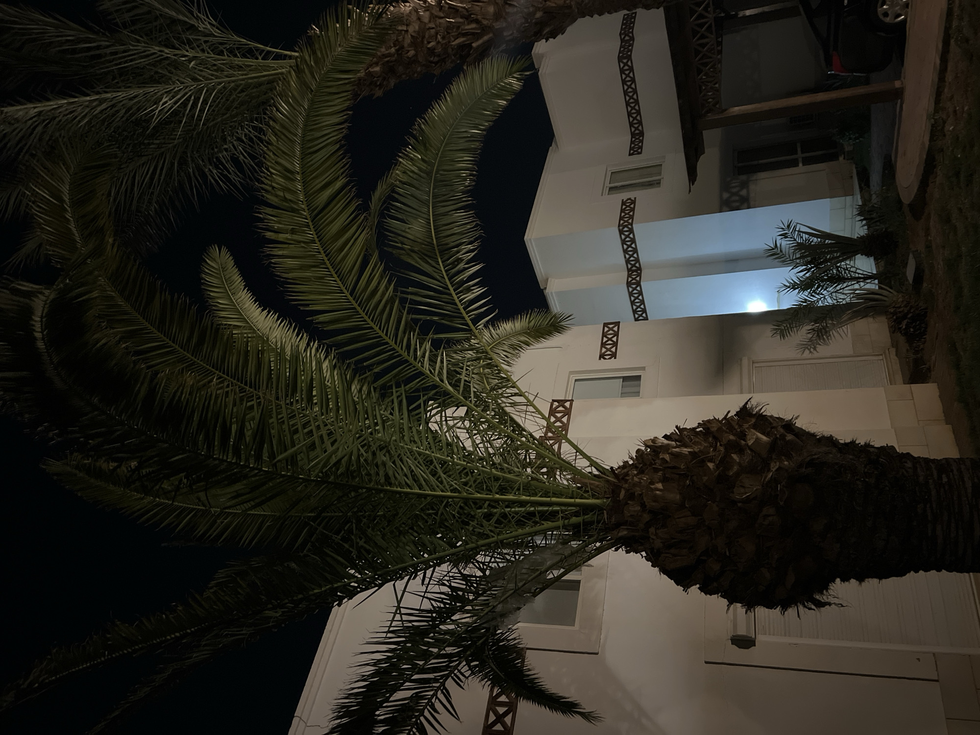 The image depicts a nighttime scene in Sharm El Sheikh, Egypt, featuring two large palm trees in the foreground. The palm trees, with their prominent fronds and textured trunks, are silhouetted against a dark night sky. Behind the palm trees, a modern white building with multiple windows is visible. The building has decorative, dark-colored geometric patterns along its exterior walls. A covered carport with wooden beams and similar decorative patterns is attached to the building on the right side of the image. A dark-colored car is parked under the carport. The ground in front of the building is covered with grass and some smaller palm plants. The overall impression is of a resort or residential property in a tropical or subtropical climate, illuminated by artificial light sources that cast subtle shadows. There are no people visible in the image.