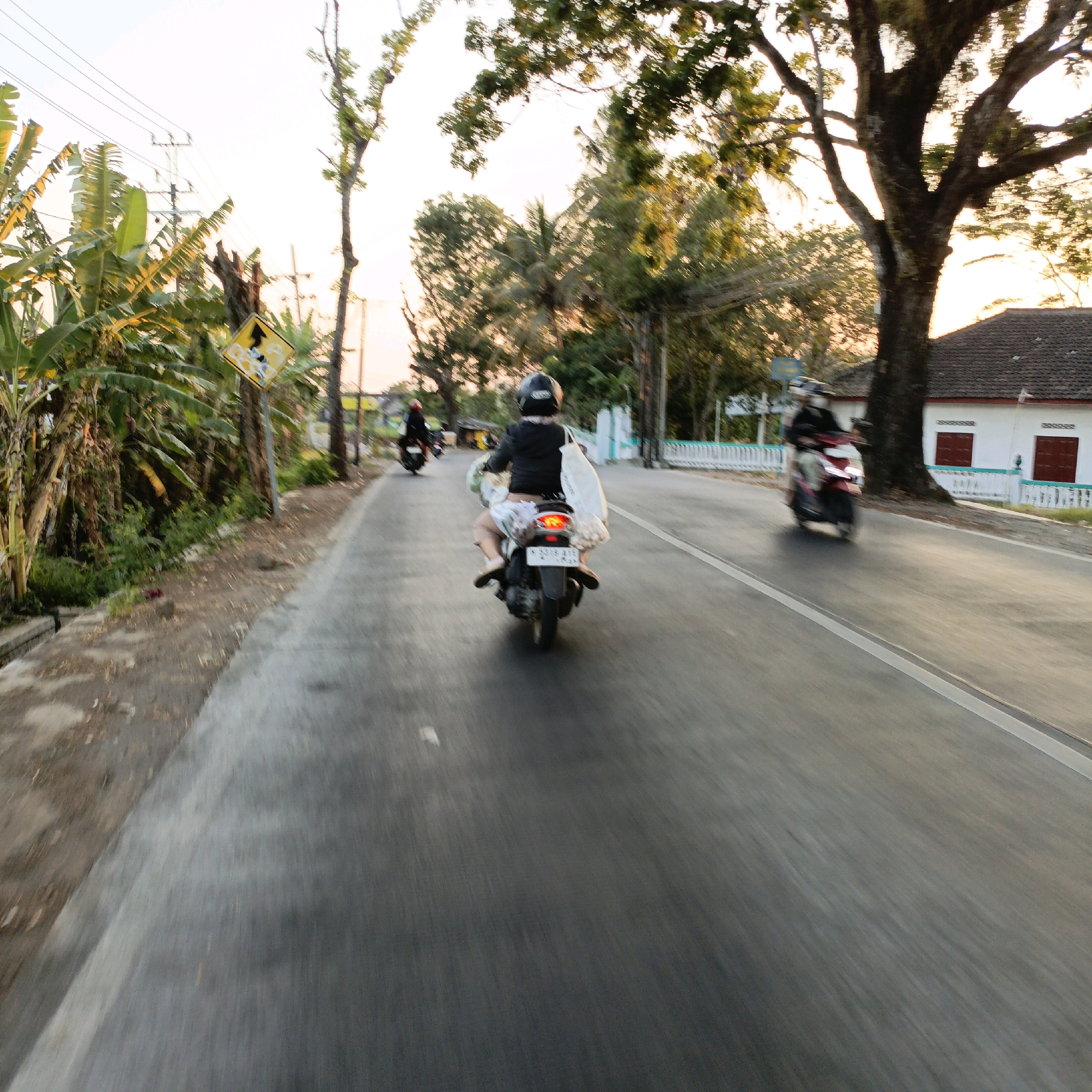 The image depicts a street scene in Salatiga, Indonesia, likely during late afternoon or early evening, given the warm, low-angled sunlight. The perspective is from the viewpoint of someone traveling on a motorcycle, looking forward. In the foreground, the asphalt road shows motion blur, indicating movement. To the left, lush green banana plants line the side of the road, with some dry debris scattered on the unpaved shoulder. A yellow diamond-shaped road sign with a black graphic is partially visible, mounted on a pole amongst the foliage.
Further down the road, a person is riding a motorcycle, also in motion. They are wearing a black helmet and a black top, with light-colored shorts. A large white bag is slung over their shoulder, and the motorcycle is carrying items, possibly groceries, in a basket at the rear. The motorcycle's taillight is illuminated. Another motorcycle, further in the distance and to the left, is also in motion, with a rider wearing a red helmet.
On the right side of the road, a white building with red-trimmed windows and a dark tiled roof is visible, partially obscured by the large, dark trunk and branches of a mature tree. A white fence with decorative posts runs along the front of the property. The sky is bright and hazy, suggesting the sun is low on the horizon. The overall impression is a snapshot of daily life on a road in a tropical or subtropical urban or semi-urban environment.