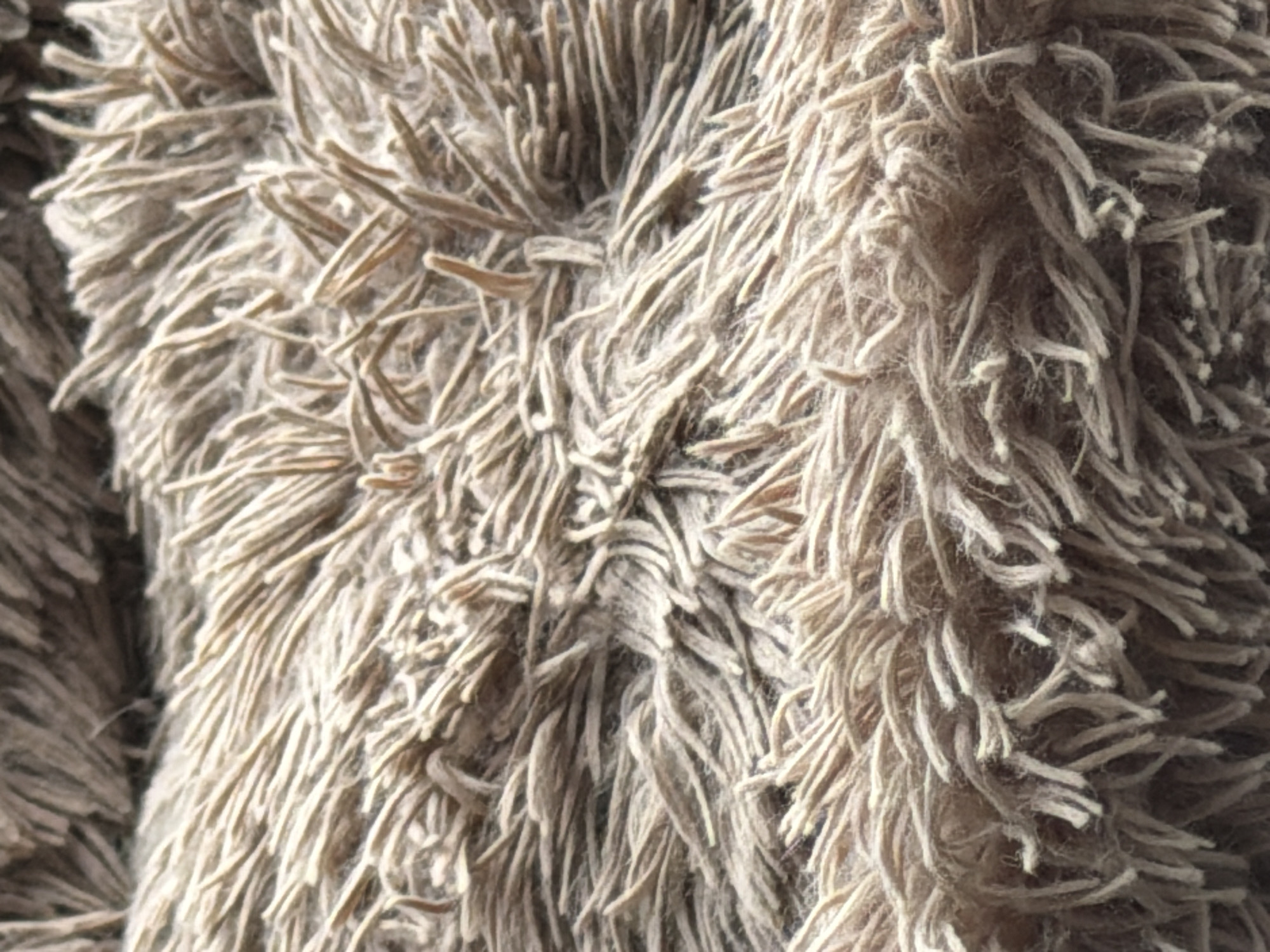The image shows a close-up, top-down view of a fluffy, shaggy rug or carpet with long, textured fibers. The fibers are a mix of light brown and beige, creating a soft, plush appearance. There are no people, identifiable objects, or environmental features visible in the image. The scene is devoid of any context that would place it in Novosibirsk, Russia, or any other specific location.