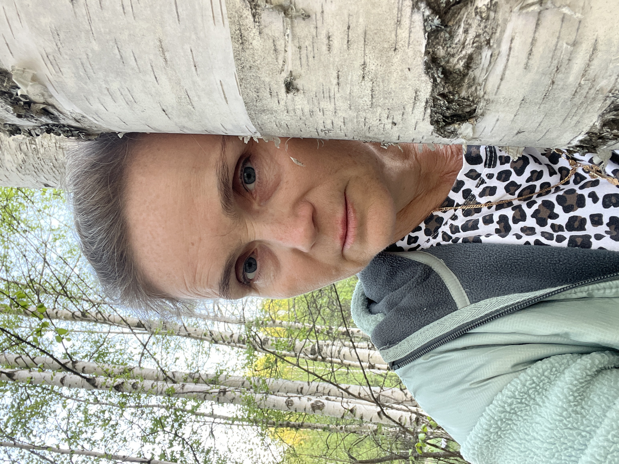 A woman is photographed close-up, partially obscured by a birch tree trunk. Her face is partially pressed against the bark. The birch tree is white with characteristic black markings. The woman has gray hair, light skin, and blue eyes. She is wearing a patterned top and a light-green jacket. The background shows a forest of birch trees with new leaves. The image does not contain enough information to determine a specific location in Zhigalki, Russia.