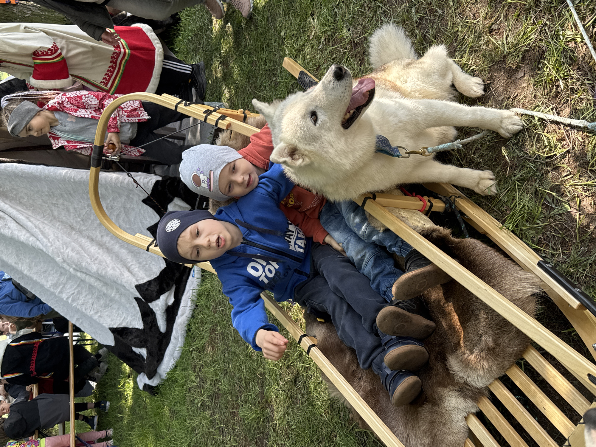 Two children and a white dog are in a wooden sled on green grass. The sled is lined with fur. One child wears a blue hoodie and a navy blue hat and sits at the front of the sled. The second child wears a red hoodie and a grey hat and sits behind the first child. The dog is white with a pink tongue, lying on the side of the sled. A blue leash is attached to the dog. In the background, there is a person wearing a traditional red and white outfit. A white and black tarp is partially visible next to the sled. The location is likely a park or outdoor event in Saint Petersburg, Russia.