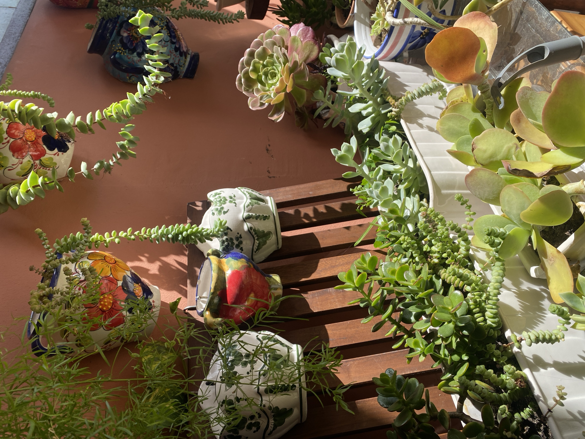 This is a high-angle, eye-level shot of an outdoor plant display against a terracotta-colored wall. The scene is filled with various succulent plants in decorative ceramic pots. Several pots are shaped like cups or small pitchers and are adorned with colorful hand-painted designs, including flowers and abstract patterns. Some of these pots hang on the wall, while others rest on a slatted wooden surface.
The plants themselves vary in form and color. There are trailing succulents with small, rounded leaves, as well as succulents with thicker, fleshy leaves. One prominent succulent in the upper right of the frame has large, paddle-shaped leaves with reddish-orange tips. Another plant, located more centrally, has layered rosettes of green and pink leaves.
Sunlight casts strong shadows across the scene, suggesting it is daytime, likely mid-morning or afternoon. The bright sunlight also highlights the vibrant colors of the pots and plants. The overall impression is one of a well-maintained and aesthetically pleasing outdoor garden or patio area, possibly in a warm climate given the plant choices and wall color. The location context indicates this is Resinera-Voladilla, Spain. There is no visible text in the image.