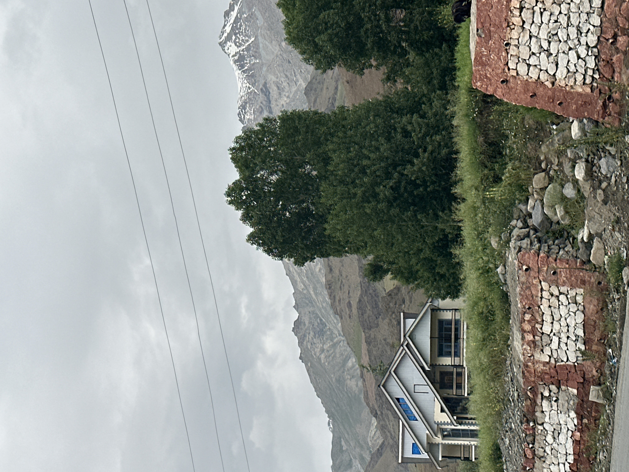 The image depicts a residential house with a gray facade and blue window frames situated on a grassy slope in Dras, India. The house has a modern design with multiple stories and balconies. Behind the house, a range of mountains rises, with snow-capped peaks visible in the distance. Several large, mature trees with dark green foliage are scattered throughout the landscape. In the foreground, a low wall constructed of stones and red plaster separates the property from a road. The sky is overcast and gray, suggesting a cloudy day. A dark-colored animal, possibly a yak, is visible on the stone wall in the far right of the frame. Power lines stretch across the sky in the upper portion of the image.