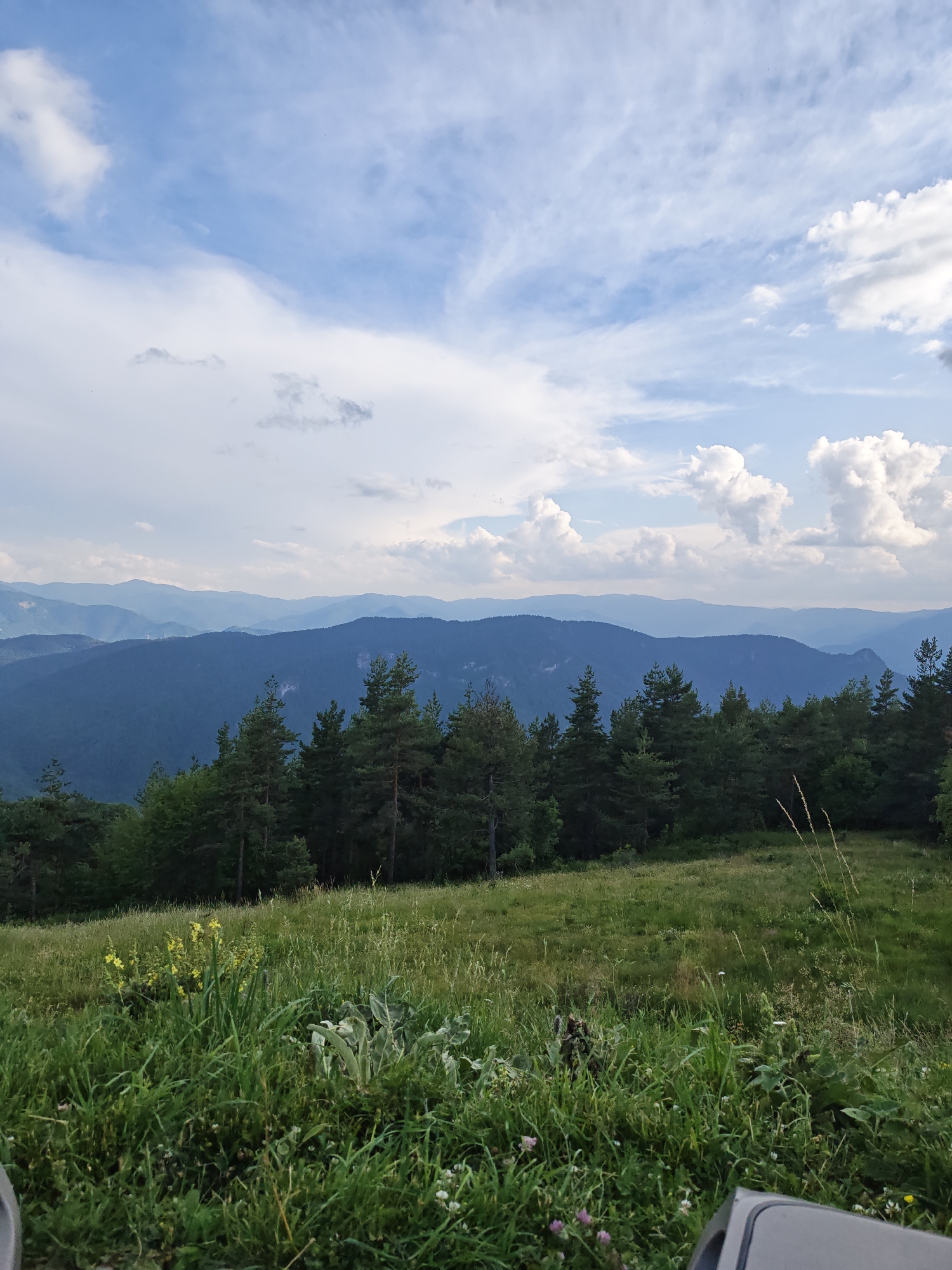 The image depicts a serene mountain landscape, likely taken from an elevated vantage point. The foreground is dominated by a lush, green meadow teeming with various types of grass and wildflowers, including yellow blossoms and small purple flowers. A dense line of dark green coniferous trees forms a natural border, leading the eye towards a series of rolling blue-hued mountains in the background. The sky above is a vibrant blue, scattered with fluffy white clouds and some wispy cirrus formations, suggesting fair weather. The overall impression is one of natural beauty and tranquility. The specific location is identified as Dobrostan, Bulgaria, implying a rural or mountainous region. There are no people or animals visible in the scene. The image appears to be a still photograph, captured outdoors during daylight.