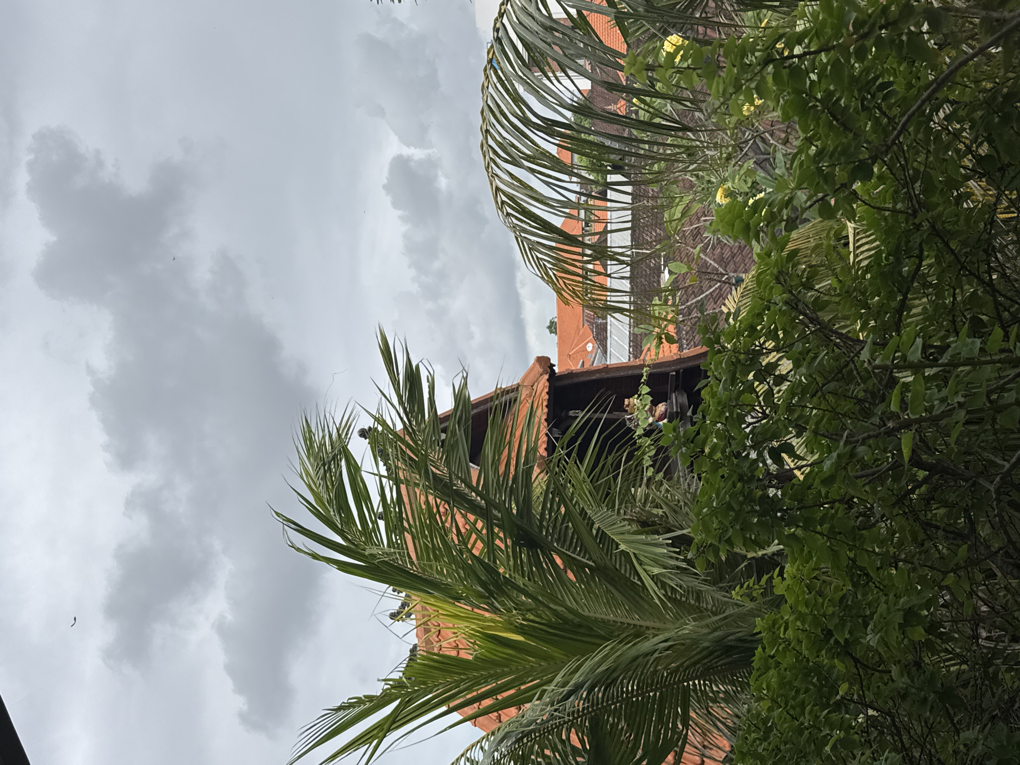 An outdoor, eye-level, full shot captures a cloudy sky over the rooftops of North Kuta, Indonesia. In the foreground, lush green foliage and palm fronds obscure part of the view. Behind the greenery, traditional Balinese architecture is visible, characterized by terracotta tiled roofs. The sky is overcast with grey clouds, and a few small, dark shapes that appear to be birds are present in the sky. The overall impression is of a tranquil, possibly tropical setting under a muted sky.