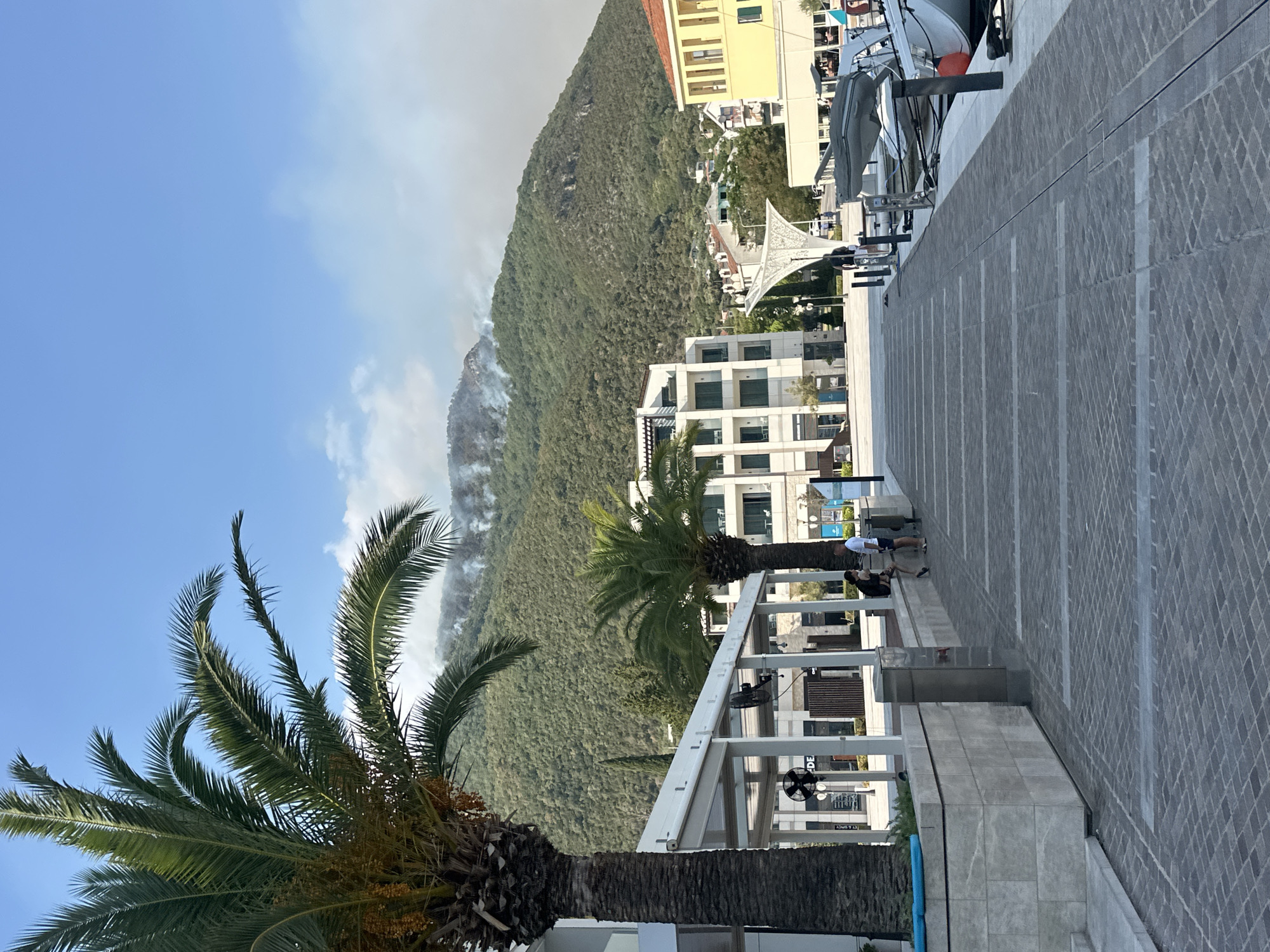 The image depicts a paved waterfront promenade in Herceg Novi, Montenegro, with a large mountain in the background. Smoke is visible rising from the hillside, indicating a potential wildfire. In the foreground, two palm trees frame the scene, with one on the left being significantly larger than the one to its right. A modern building with white awnings and outdoor seating is to the left, and further to the right, several boats are docked along the water. Two individuals are seated on a low wall in the mid-ground, observing the scene. The sky is clear and blue, with some wispy clouds. The overall impression is a beautiful coastal town marred by the visible signs of a distant fire.
