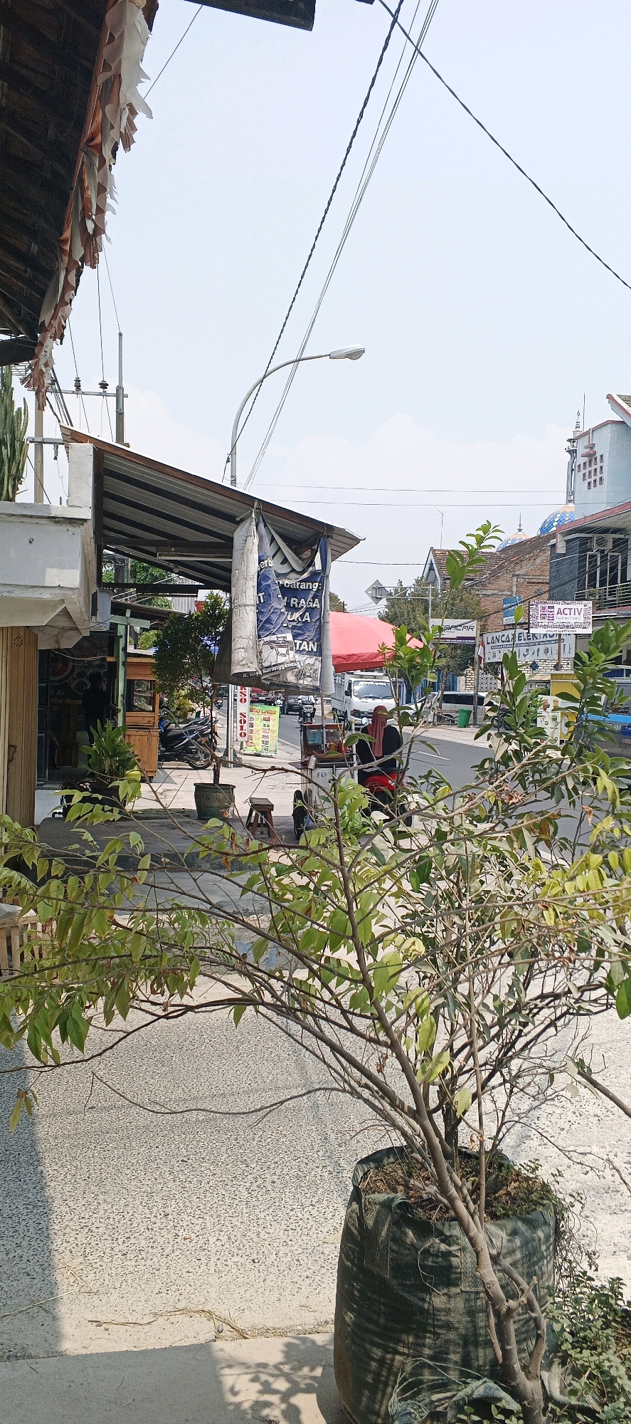The image depicts a street scene in Karanggeneng, Indonesia, on a bright, sunny day. In the foreground, a potted plant with sparse green leaves and brown branches is positioned on a textured grey surface, likely a sidewalk or paved area. The plant is contained within a large, dark green fabric pot.
Behind the plant, the scene unfolds along a street. To the left, a building with a wooden door and a sloped, corrugated metal roof is visible. Beneath the roof, awnings extend outwards, and decorative white strips hang from the eaves. Further left, a tall cactus plant stands beside the building.
The street itself features a paved surface and is lined with various stalls and shops. A motorcycle is parked on the sidewalk. A woman wearing a red headscarf and a black garment is seen sitting on a red motorcycle on the right side of the street. In the background, there are several other motorcycles and a white truck. Buildings with signs are visible on the opposite side of the street, including one with the text "ACTIV FURNITURE." A blue-domed building, possibly a mosque, is also present in the distance, along with power lines and a street lamp. The overall environment appears to be a busy commercial or residential area.