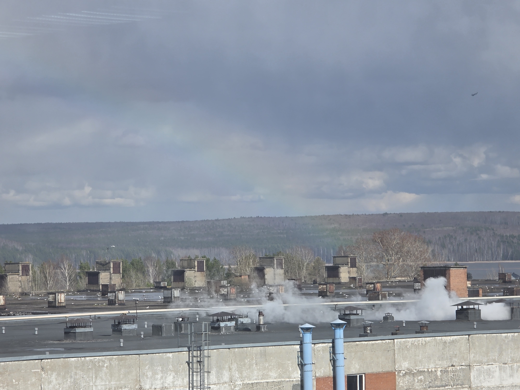 This media file presents an aerial or elevated view over a sprawling industrial or commercial rooftop landscape in Chaikovsky, Russia, under a predominantly cloudy sky.
In the foreground and midground, multiple flat, dark-surfaced rooftops are prominent, adorned with numerous ventilation units, various chimneys (including two distinct blue pipes and several brick structures), and box-like modular enclosures. Plumes of white steam or smoke actively rise from several vents and chimneys, indicating operational activity within the buildings below. Numerous small white birds, likely gulls, are scattered across the rooftops, some appearing perched while others move about. The concrete walls of the building are visible in the lower portion of the frame, with a section of a red brick wall and a window also present.
Beyond the urban structures, a vast natural landscape unfolds towards the horizon. A dense forest line dominates the background, comprising a mix of leafless deciduous trees, suggesting early spring or late autumn, interspersed with evergreens. A body of water, possibly a river or lake, can be faintly seen behind the forest on the right side.
The sky is largely overcast with grey clouds. A faint, ethereal rainbow arc is visible in the mid-left area of the sky, hinting at recent rain or moisture. In the upper left, parallel white contrails trace paths across the clouds, while a small, dark silhouette of an airplane is discernible in the upper right, indicating active air traffic. The scene captures a blend of human industry and natural scenery on a cloudy daytime. No visible text is present in the image.