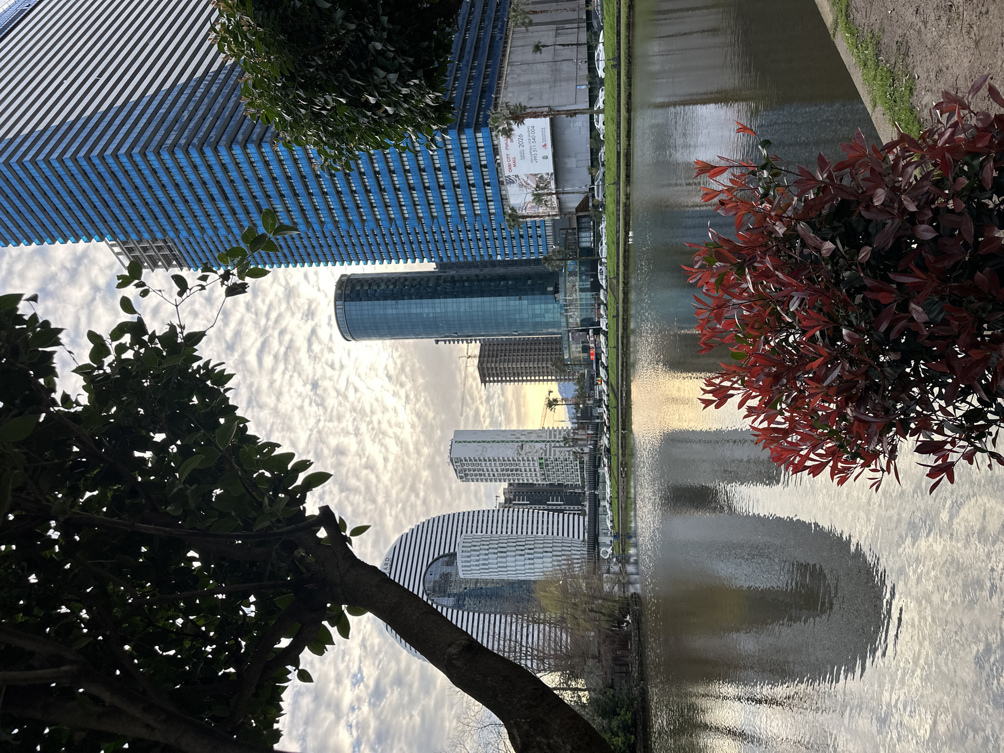 The image depicts a view in Batumi, Georgia, featuring modern architecture reflected in a body of water. Buildings with blue accents and glass facades dominate the skyline, with at least one structure displaying a distinctive rounded design. A nearby lake or pool mirrors the buildings, sky, and adjacent vegetation. The foreground includes a tree with dark green leaves on the left and a bush with red leaves on the right. Cars are parked on the street along the lake.