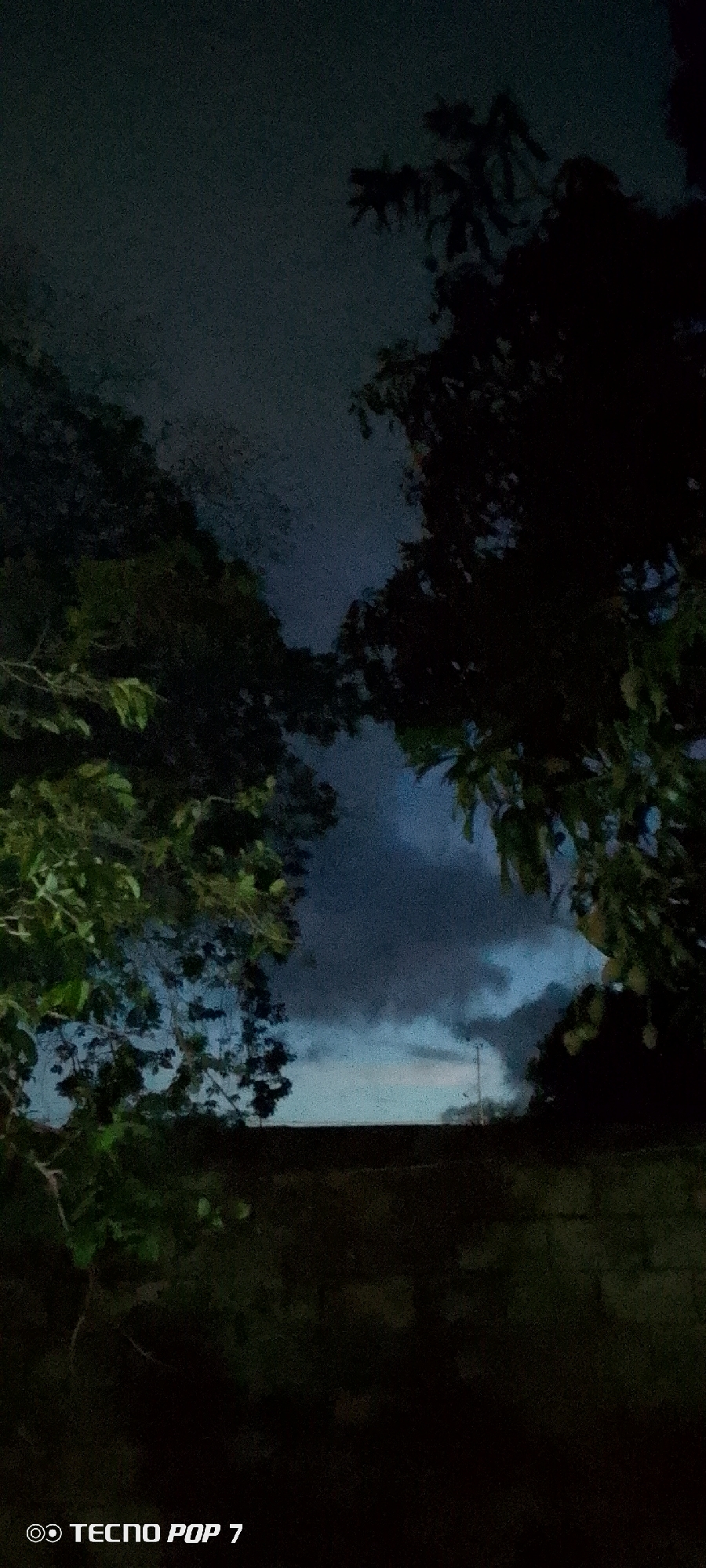 A low-angle, full shot captures a nighttime scene in Altagracia, Venezuela, dominated by a dark, cloudy sky. Silhouetted against the sky are the dark masses of trees with visible foliage, framing a central opening that reveals the sky. The foreground is a dark, indistinct area, likely a ground surface, with the "TECNO POP 7" watermark visible in the bottom left corner. The overall impression is one of a dimly lit, natural environment at night, possibly after rain, given the clouds.