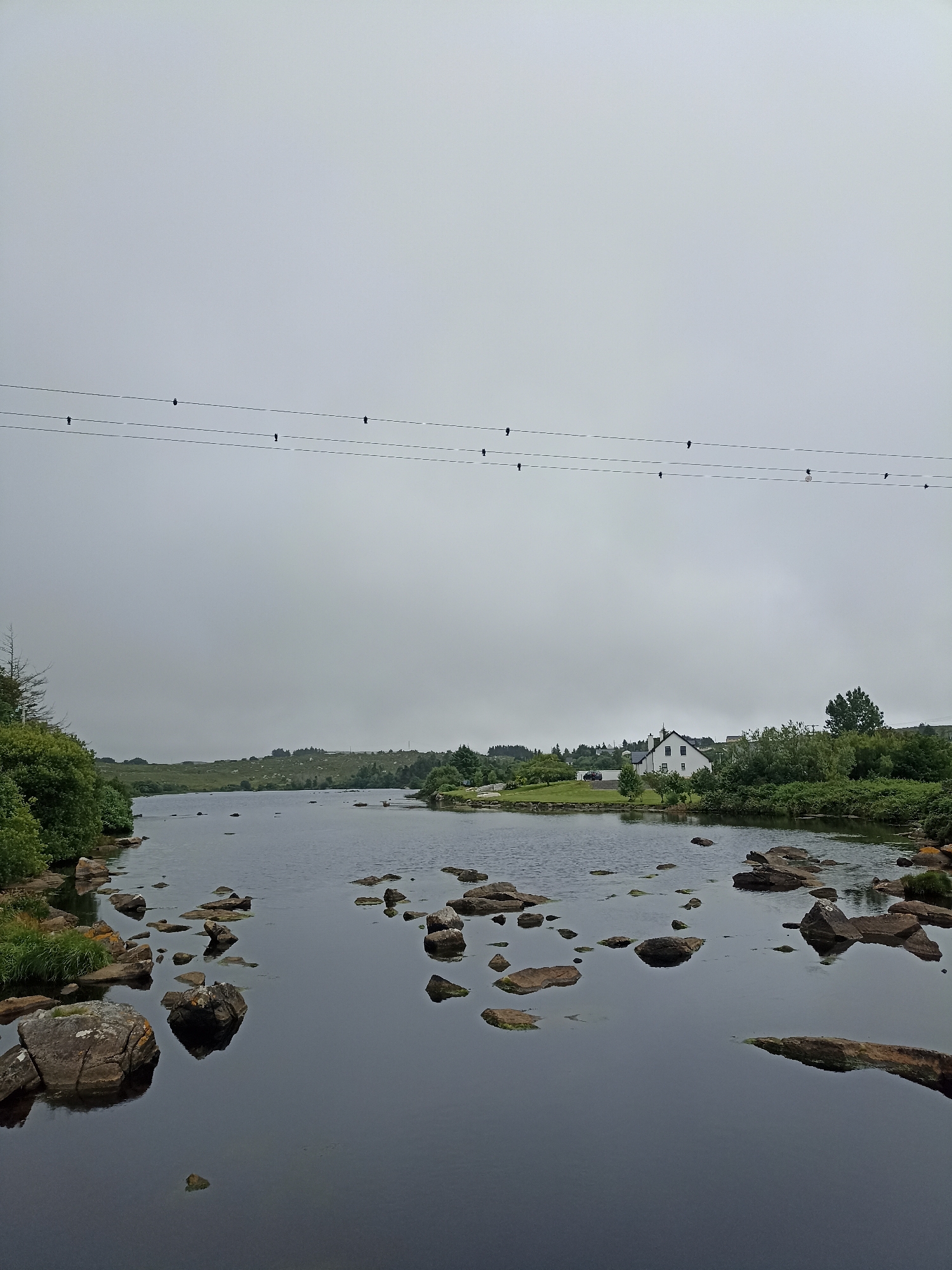 The image captures a serene, overcast day in Annagry West, Ireland, overlooking a tranquil body of water. In the foreground, numerous large, irregularly shaped rocks are scattered in and around the water, some partially submerged, others emerging from the dark, reflective surface. The water itself is calm, with a deep, muted blue hue.
Beyond the water, a verdant shoreline is visible, lined with dense green bushes and trees. Further inland, rolling hills stretch towards the horizon, covered in a patchwork of green grass and dotted with sparse trees and a few small buildings. A prominent white house with a dark roof stands out against the landscape, situated on a slight rise. Several power lines stretch horizontally across the upper portion of the image, with small, dark insulators visible at regular intervals, and at least three small birds are perched on these lines.
The overall atmosphere is one of quiet natural beauty, enhanced by the soft, diffused light of the cloudy sky, which casts a gentle and uniform illumination over the entire scene. No people are present in the image.