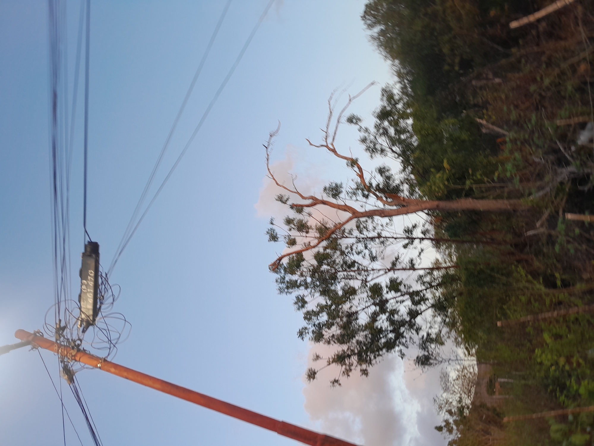The image shows a blurry outdoor scene with a utility pole on the left, supporting various wires and a small black box with white lettering that appears to read "100 470". The sky is a pale blue with some light clouds. In the middle ground, there are several trees, some with foliage and others bare, with branches reaching upwards. The foreground consists of dense vegetation and some thin vertical elements that could be fence posts or thin branches. The overall impression is of a rural or semi-rural area. There is no clear indication of the specific location in Santa Ana, Venezuela, beyond it being an outdoor setting. No people or specific actions are depicted.