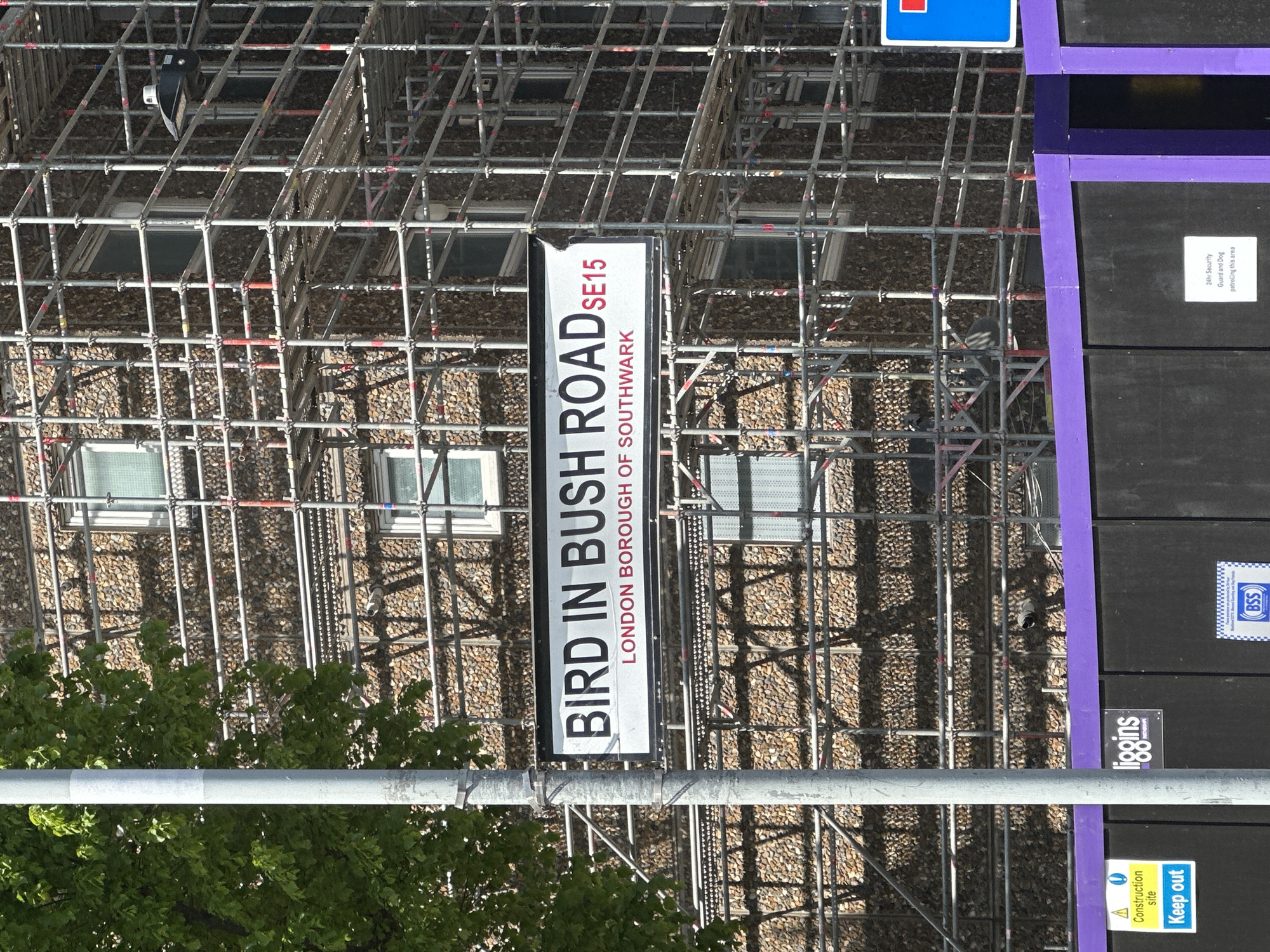 The image, taken in bright daylight, displays a building undergoing construction or renovation, entirely enveloped in metal scaffolding. The building's facade is textured, possibly pebbledash, with multiple windows visible through the intricate scaffolding framework.
A prominent white street sign, oriented horizontally, is central to the image. It reads "BIRD IN BUSH ROAD SE15," with "SE15" in red text, and "LONDON BOROUGH OF SOUTHWARK" below, confirming the location in London, United Kingdom.
To the right, dark grey construction hoarding with purple borders features several signs. One sign warns of "24hr Security Guard and Dog patrolling this area." Another sign, marked with a yellow warning triangle, instructs "Keep out" and identifies it as a "Construction site." Logos for "liggins" and "BSS" are also visible on the hoarding. A blue road sign is partially seen at the far top right.
In the lower left of the frame, vibrant green tree foliage partially obscures a grey pole, likely a lamppost or utility pole. A security camera or floodlight is affixed to the scaffolding in the upper part of the scene. The strong sunlight casts distinct shadows of the scaffolding onto the building's surface. No people are present in the image, which captures a typical urban construction setting.