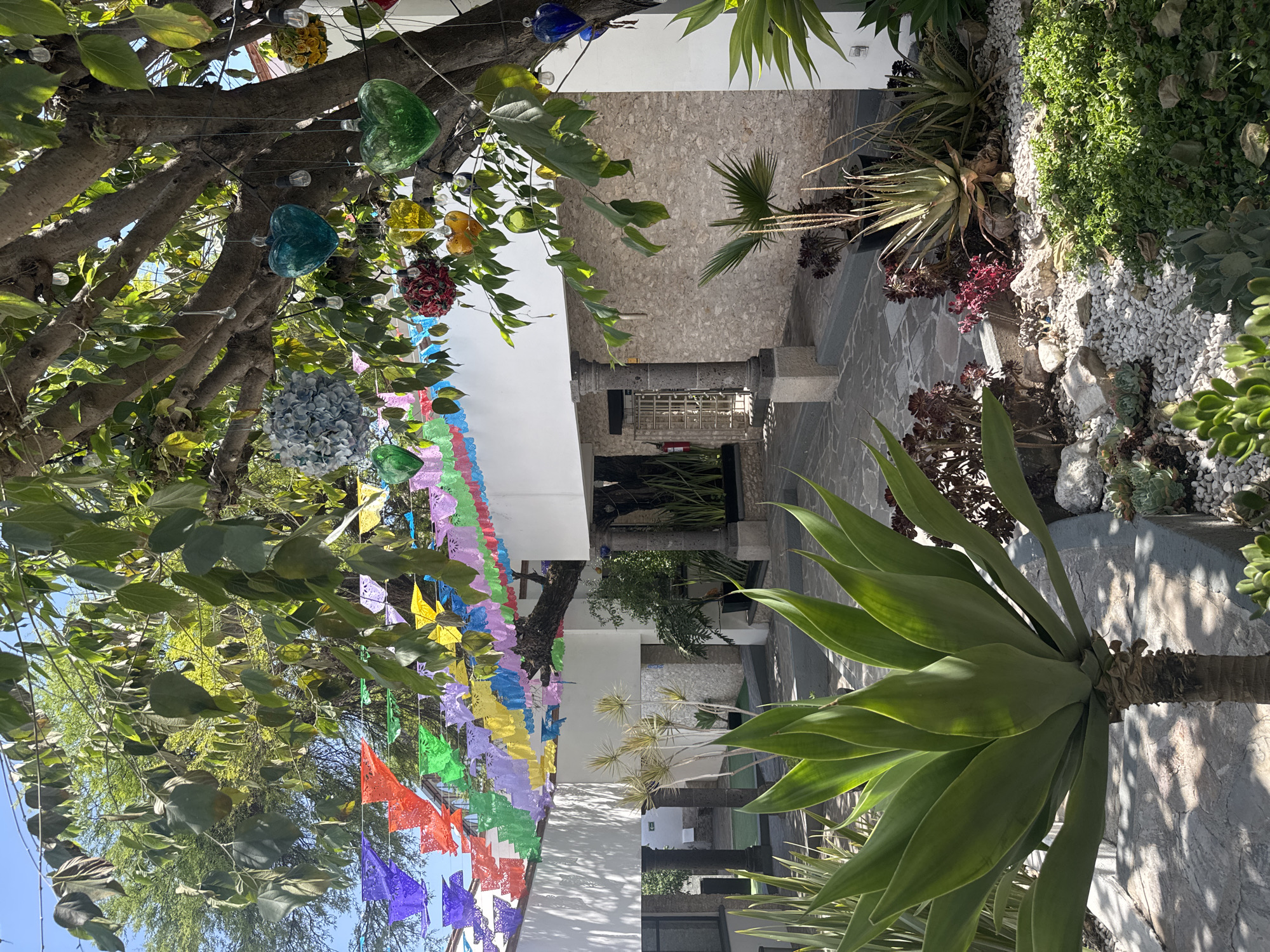 The image depicts a courtyard in Bernal, Mexico. Above is a tree adorned with colorful glass ornaments and strings of papel picado, traditional Mexican paper banners. Below, there is a stone-paved courtyard with succulent gardens and stone borders. The courtyard is framed by white buildings with stone accents.