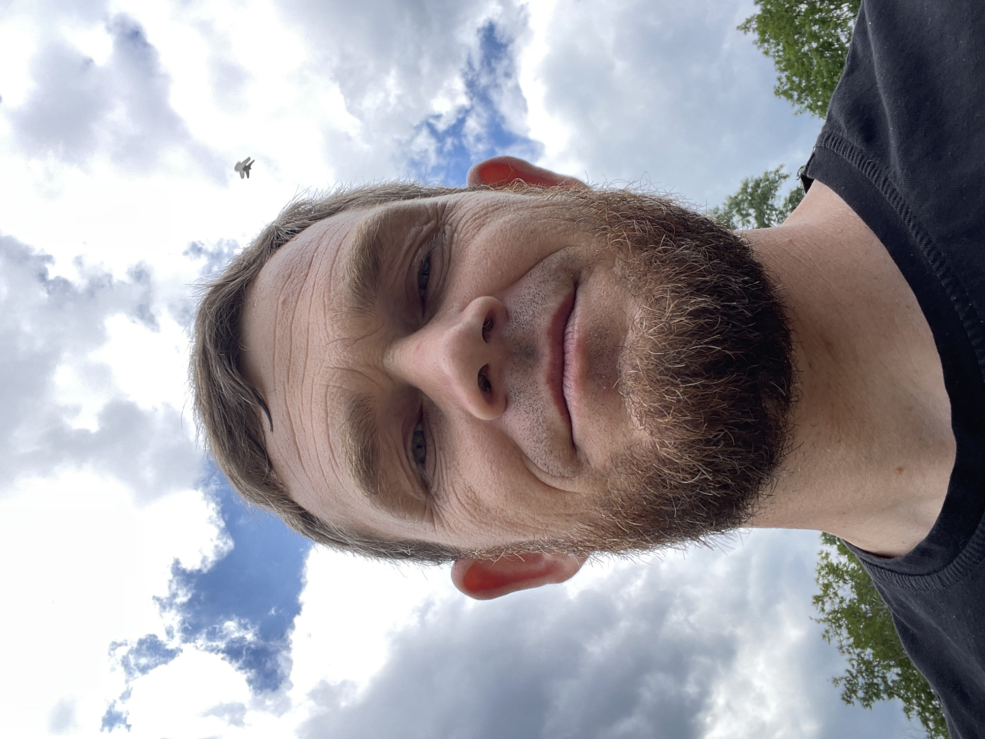 The image is a close-up, low-angle selfie of a man's face and upper torso taken outdoors under a cloudy sky. The man has fair skin, light brown hair, and a beard. He is wearing a black t-shirt. His face is centrally positioned and takes up most of the frame. In the background, there are trees visible at the bottom and a bird flying in the sky. The image does not contain any information about the specific location within the city of Krasnodar, Russia.