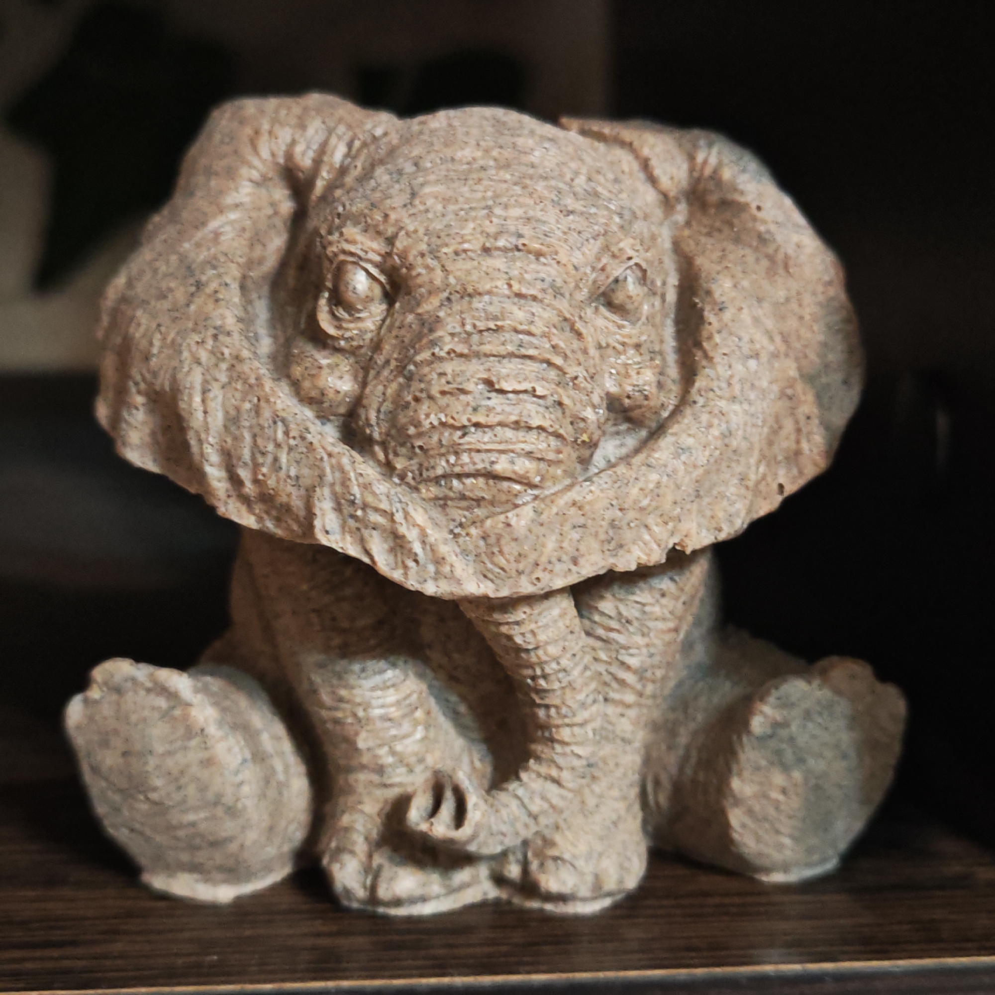 The media file displays a close-up image of a statue of a baby elephant, positioned front and center. The statue is crafted from a light-brown, granular material, resembling sandstone or coarse concrete, with visible specks of darker aggregate throughout its surface. The elephant is depicted in a seated posture, with its front legs bent and its small, stubby trunk resting downwards between them. Its large, textured ears frame its face, and its eyes are carved subtly into the material. The surface of the statue exhibits fine lines and ridges, mimicking the wrinkled skin of an elephant, especially prominent on its trunk and ears.
The elephant statue is resting on a dark, polished wooden surface, likely a shelf or table. The background is dark and out of focus, suggesting an indoor setting with low or ambient lighting, possibly a display area. There is no discernible activity or event taking place, as the subject is an inanimate object. No specific time of day or weather conditions can be inferred from the image. There are no visible location cues within the image itself that would confirm or deny the provided context of Novo-Nikol'skoe, Russia. No text is visible in the media file.