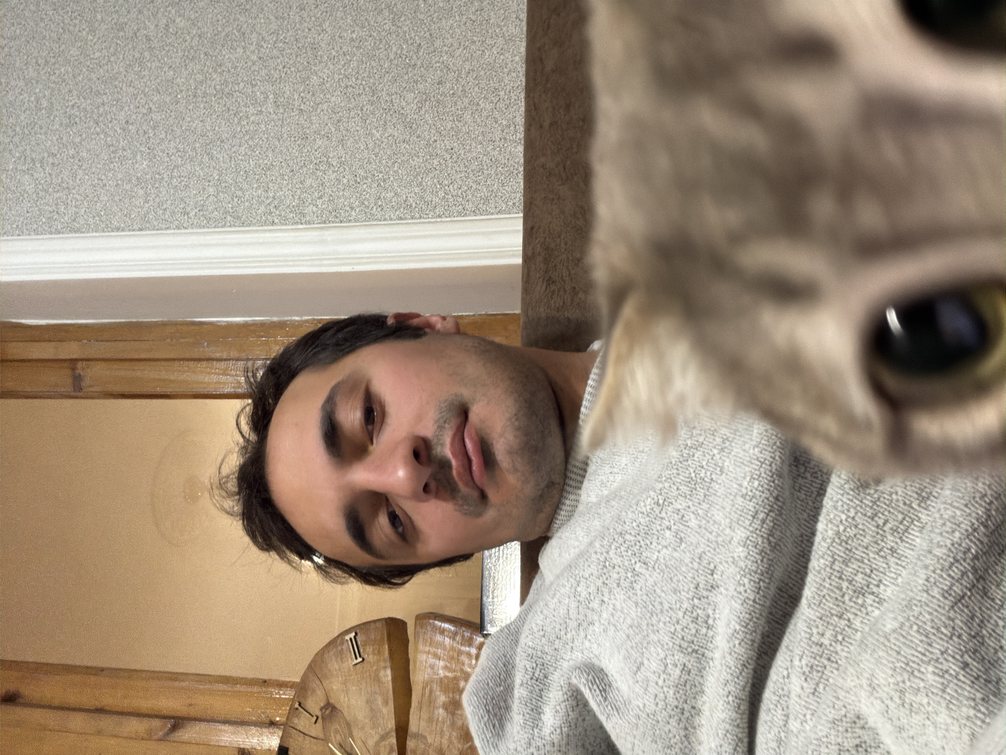 A man with dark hair and a light beard is looking at the camera. To the right of the man is a blurred cat face. Behind the man is a wooden panel wall, and above it is a white wall with a stucco ceiling. There is a wooden clock on the wall. The location is not discernible from the image.
