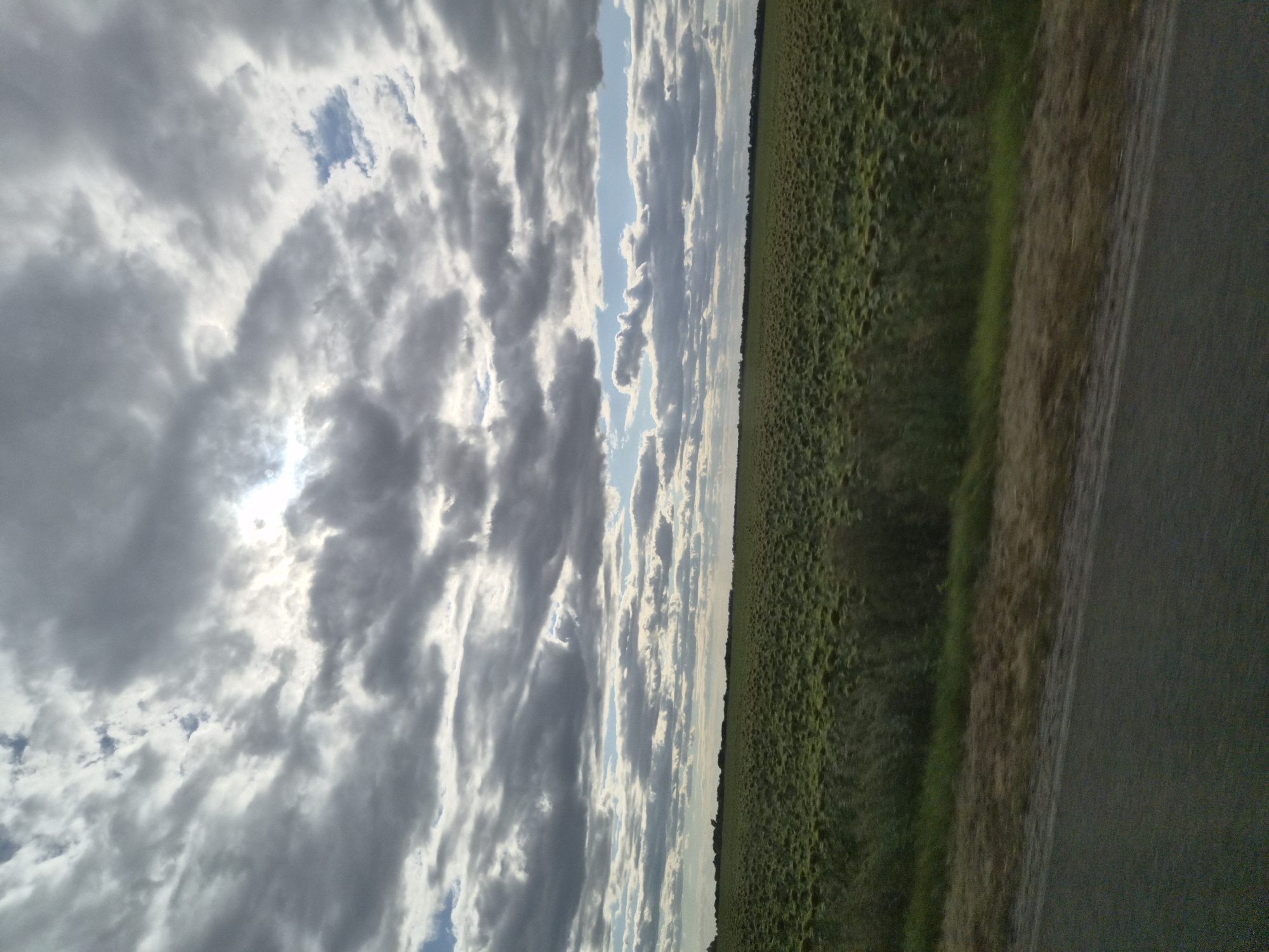This image shows a wide view of a sunflower field under a cloudy sky, taken from the side of a road. The foreground consists of a dark asphalt road, with a strip of dry grass and vegetation bordering the field. The field itself is densely packed with sunflowers, their heads mostly facing downwards or sideways, indicating they are past their prime. The horizon is marked by a dark line of trees in the distance. The sky is dominated by large, grey, and white clouds, with patches of blue sky visible. The sun is partially obscured by the clouds, creating a diffused light. The overall impression is one of a vast agricultural landscape on a partly overcast day. The image is believed to have been taken in or near Popove, Ukraine, a location known for its agricultural fields.