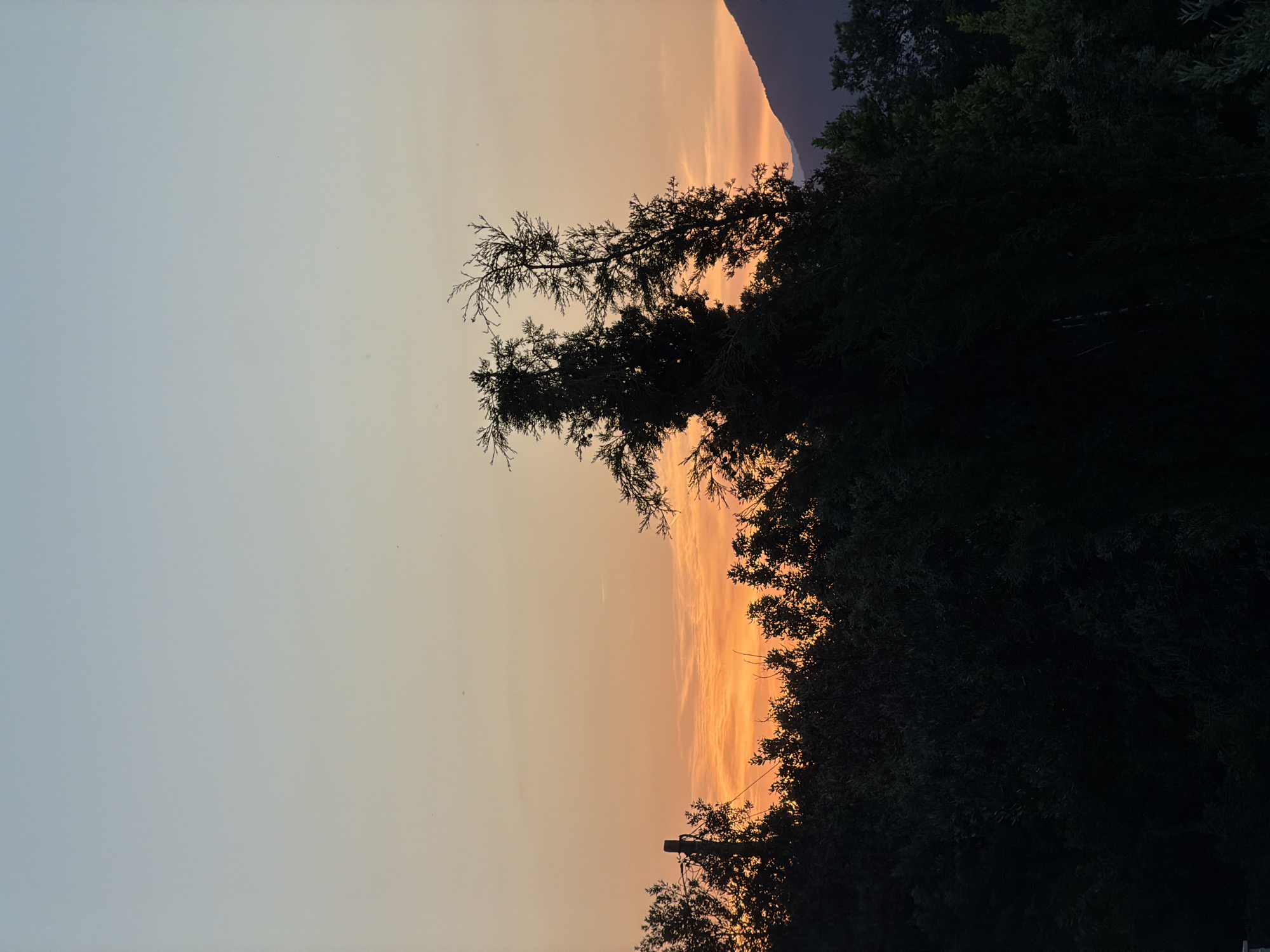 The image depicts a sunset scene, potentially located in Gošići, Montenegro. The foreground is dominated by the silhouetted forms of trees and foliage. The sky transitions from a pale blue-grey on the left to an orange hue towards the right, suggesting the setting sun. A mountain range is visible on the right side of the image. A powerline is also visible.