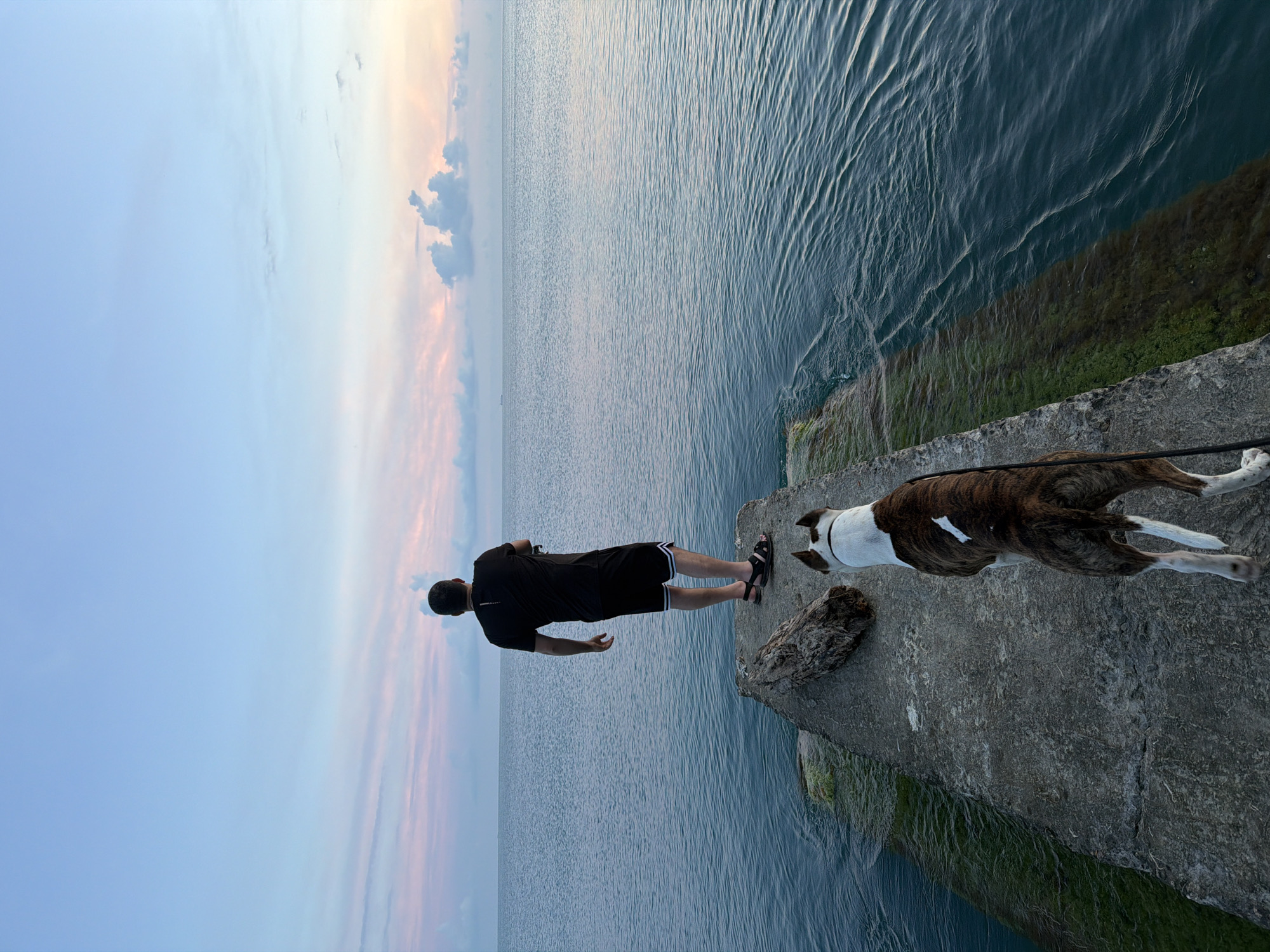 A person and a dog stand on a concrete pier extending into a body of water. The person, facing away from the camera, wears a black t-shirt and black shorts with white stripes, and sandals. They appear to be looking out at the horizon. The dog, facing away from the camera, is a medium-sized breed with brown and white brindle markings and a white chest and face. It is wearing a black collar and leash. The pier has a large piece of driftwood on it. The water is calm with small ripples. In the distance, a faint outline of a ship is visible on the horizon. The sky is a gradient of light blue at the top, transitioning to soft pinks and oranges near the horizon, indicating either sunrise or sunset. The environment suggests a coastal location, possibly in or near the city of Dederkoy, Russia, given the details of the sky and water.