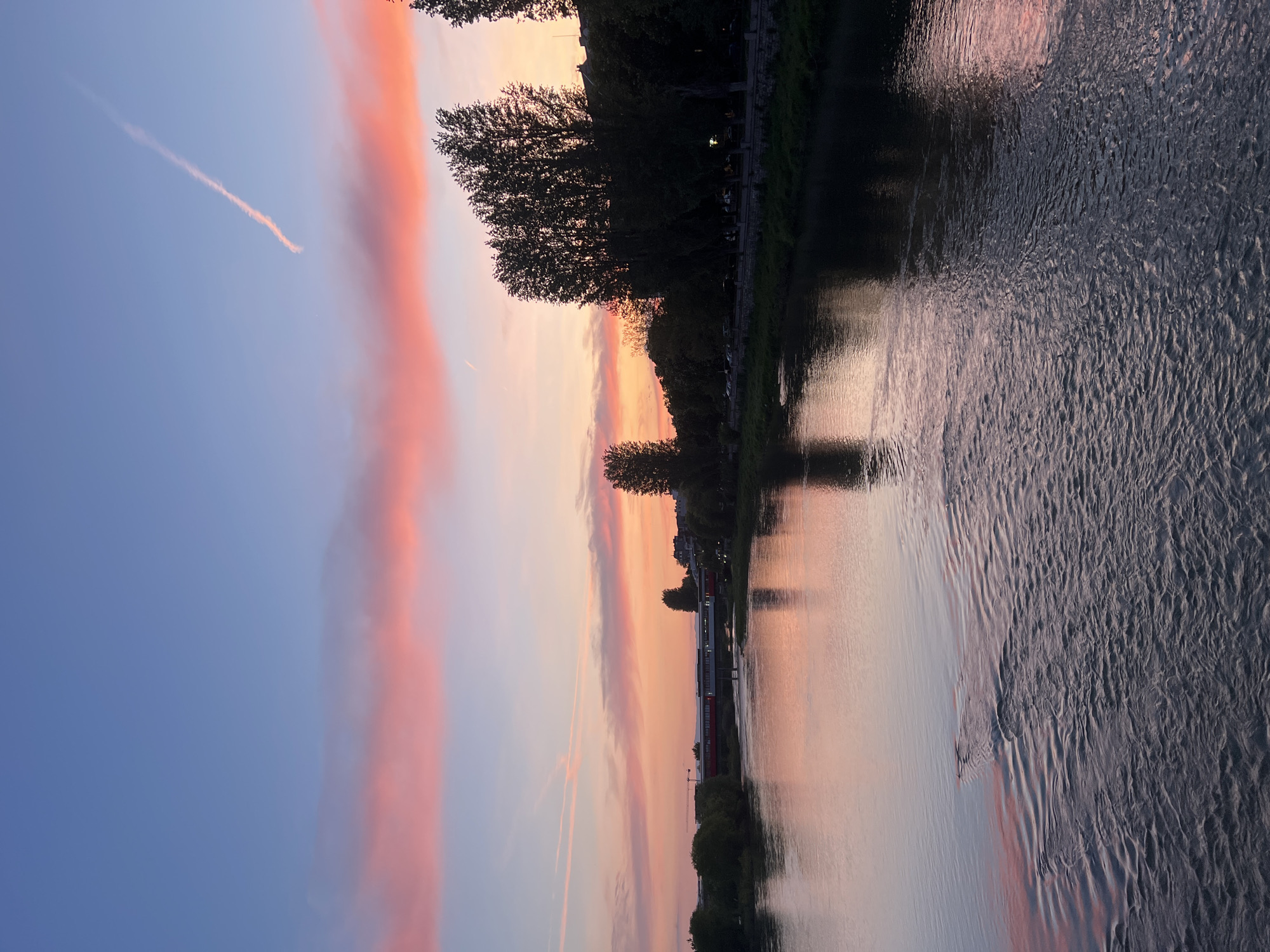 The image shows a body of water reflecting a sunset sky with pink and orange hues. Along the bank, silhouetted trees line the water's edge. In the sky, there's a contrail from an airplane. The scene could be of the Maritsa River in Plovdiv, Bulgaria. The orientation of the image is rotated 90 degrees counterclockwise.
