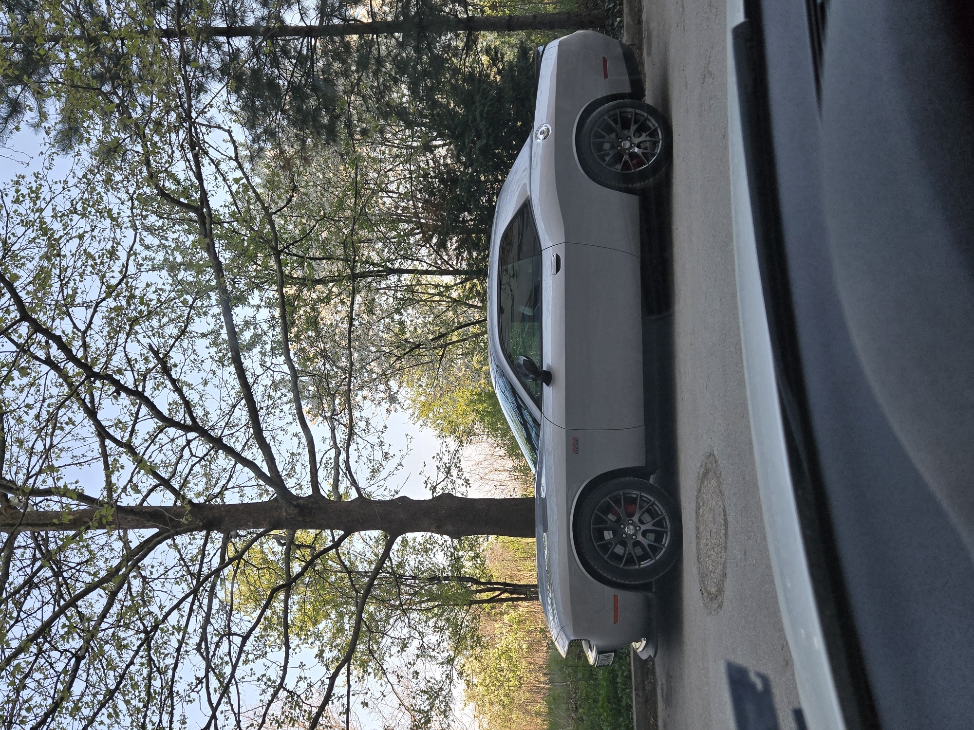 A gray Dodge Challenger car is parked on an asphalt road adjacent to a natural area consisting of trees with emerging spring foliage and some dense evergreen trees. The car is oriented with the front facing the viewer's left. A large tree is positioned near the front of the car. Another vehicle is partially visible to the right, obscuring some of the road. The location is an unknown city.