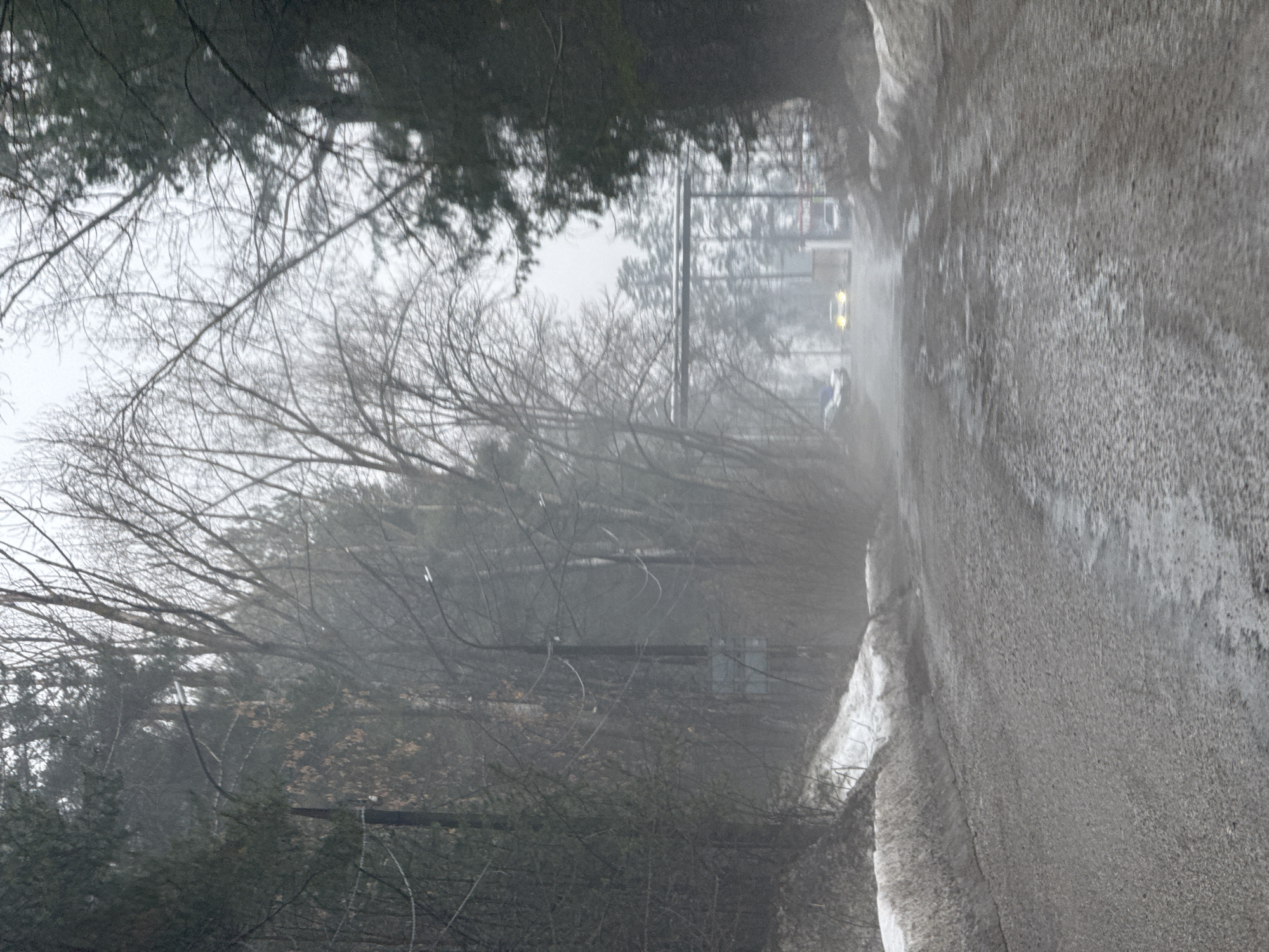 The scene is a snow-covered, desolate street in Chaikovsky, Russia, depicted on a foggy winter day. A vehicle with illuminated headlights is partially visible through the fog in the distance. The sides of the street are lined with snow-covered banks. Bare trees and foliage are present on the left side of the image. Overhead power lines can be seen. The image is captured at an unusual angle, slightly rotated.