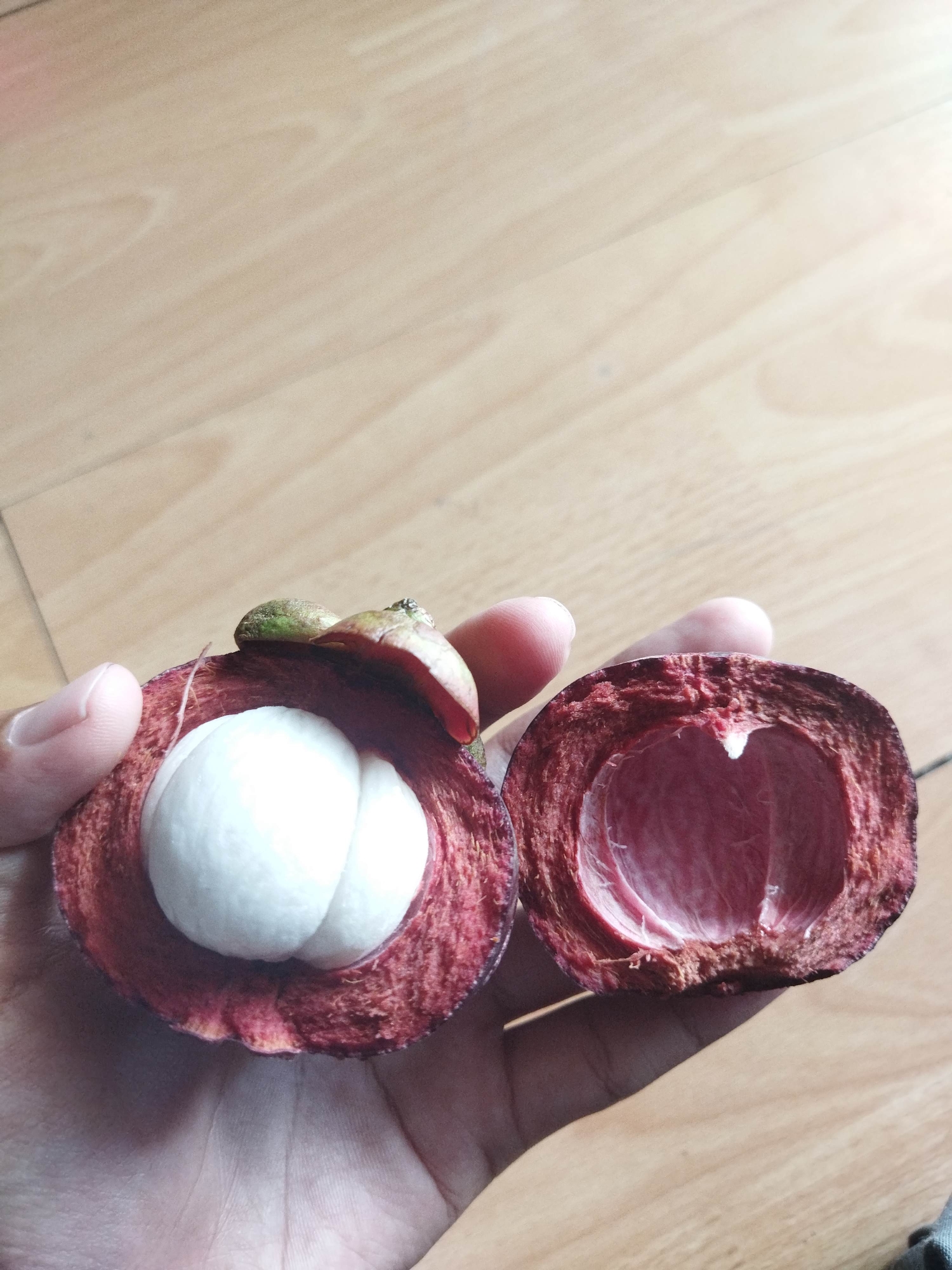 A close-up, overhead shot shows a person's hands holding two halves of a mangosteen fruit against a light wood-grain background. The left half of the mangosteen displays its white, segmented flesh, while the right half reveals the deep purple interior of its rind. The lighting suggests an indoor environment, possibly a home, and there is no indication of the location being in the city of Suci, Indonesia.