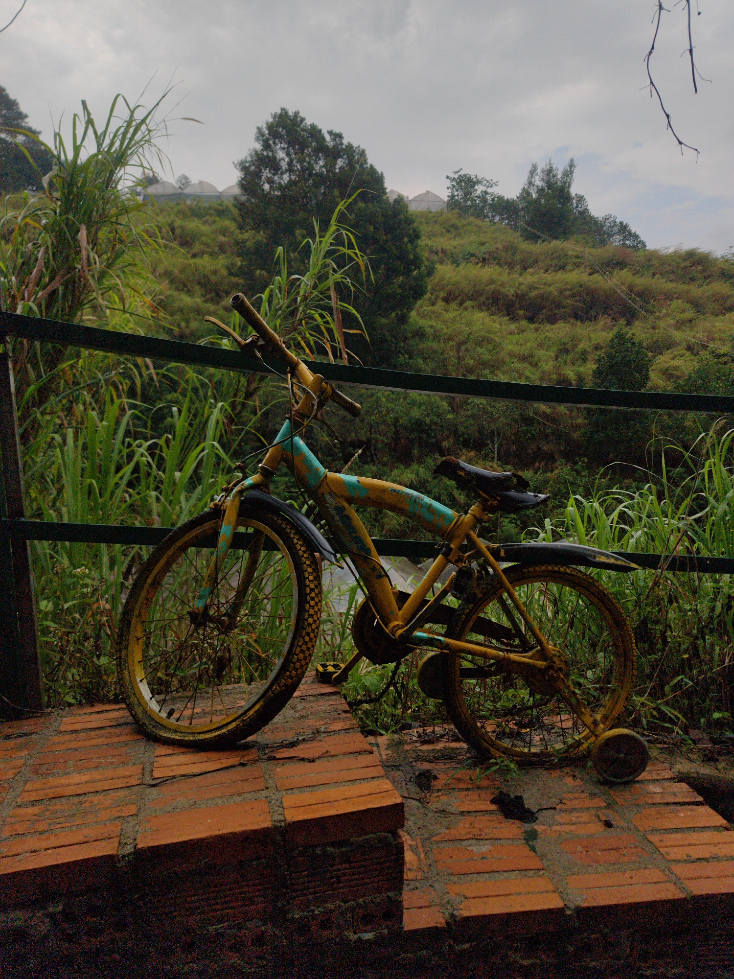 Memory