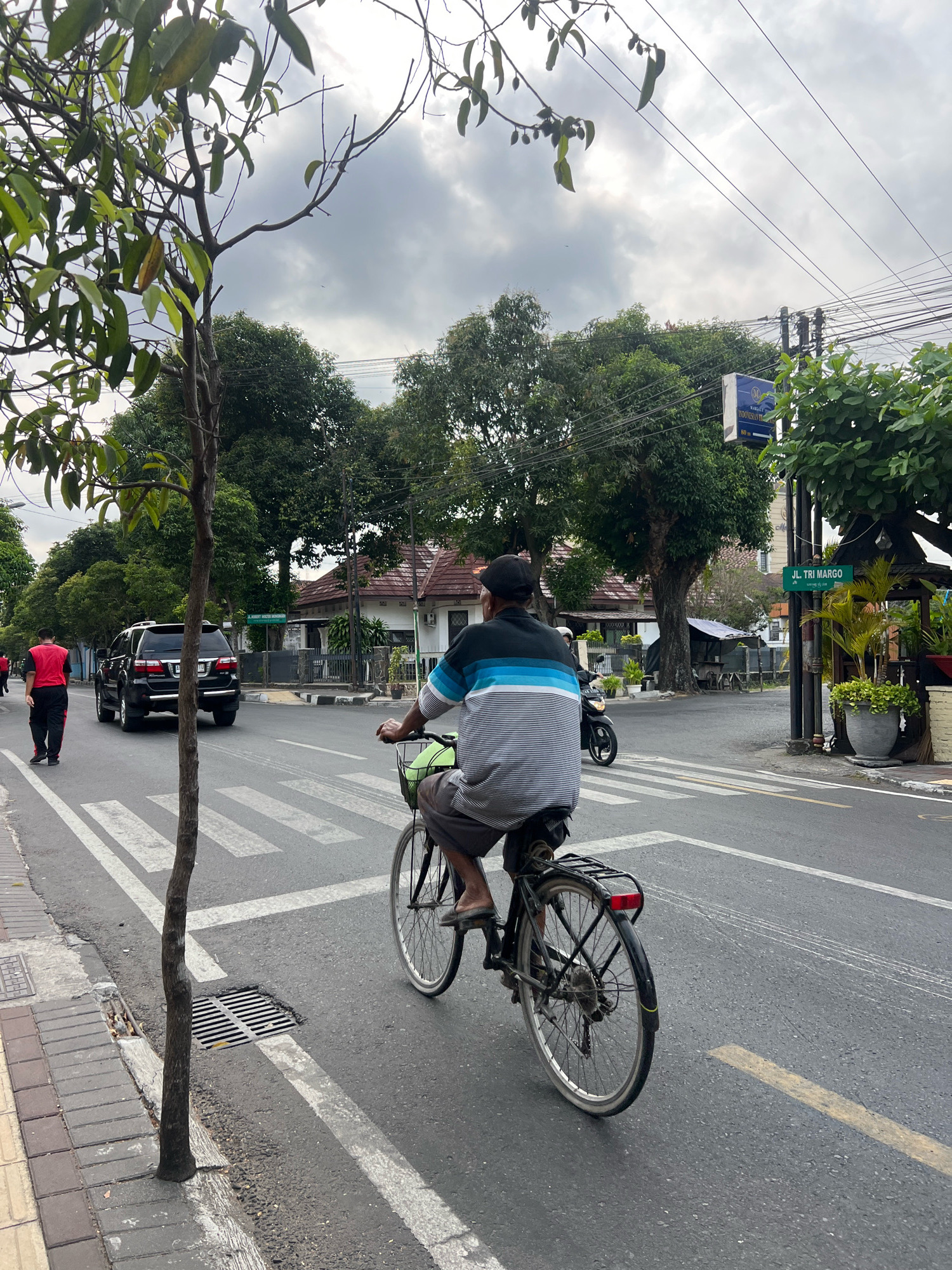 An outdoor, medium shot captures a man cycling on a street in Yogyakarta, Indonesia, under a cloudy sky. The man, seen from behind, wears a black cap, a horizontally striped shirt with blue, white, and gray bands, and gray shorts. He is riding a black bicycle with a rear rack and a green basket on the handlebars. The bicycle is positioned on a crosswalk with white stripes on the asphalt road. To the left, a black SUV is seen driving away, and a person in a red shirt and black pants walks on the sidewalk. Trees line the street, and buildings with red-tiled roofs are visible in the background. A green street sign reads "JL. TRI MARGO". Power lines are strung overhead.