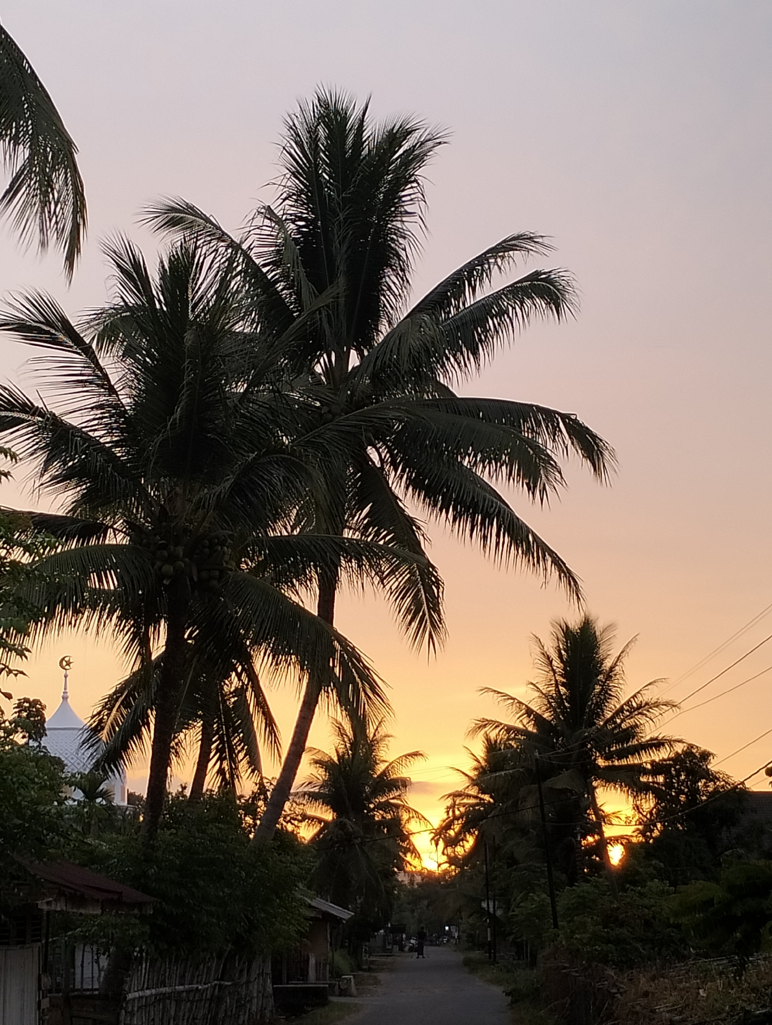In Meunasahalue, Indonesia, the image captures a sunset scene dominated by silhouetted palm trees against a gradient sky of pale pink and orange. A white mosque with a crescent moon finial is visible on the left, partially obscured by trees. In the foreground, a dirt road runs through a rural setting lined with low-lying structures, some with corrugated metal roofs. Dense green foliage, including more palm trees and bushes, fills the midground and sides of the road. A few indistinct figures and possibly a motorcycle can be seen on the road in the distance, suggesting a quiet, inhabited area. Electrical wires are strung across the upper right portion of the frame. The overall impression is one of a serene evening in a tropical, developing region.