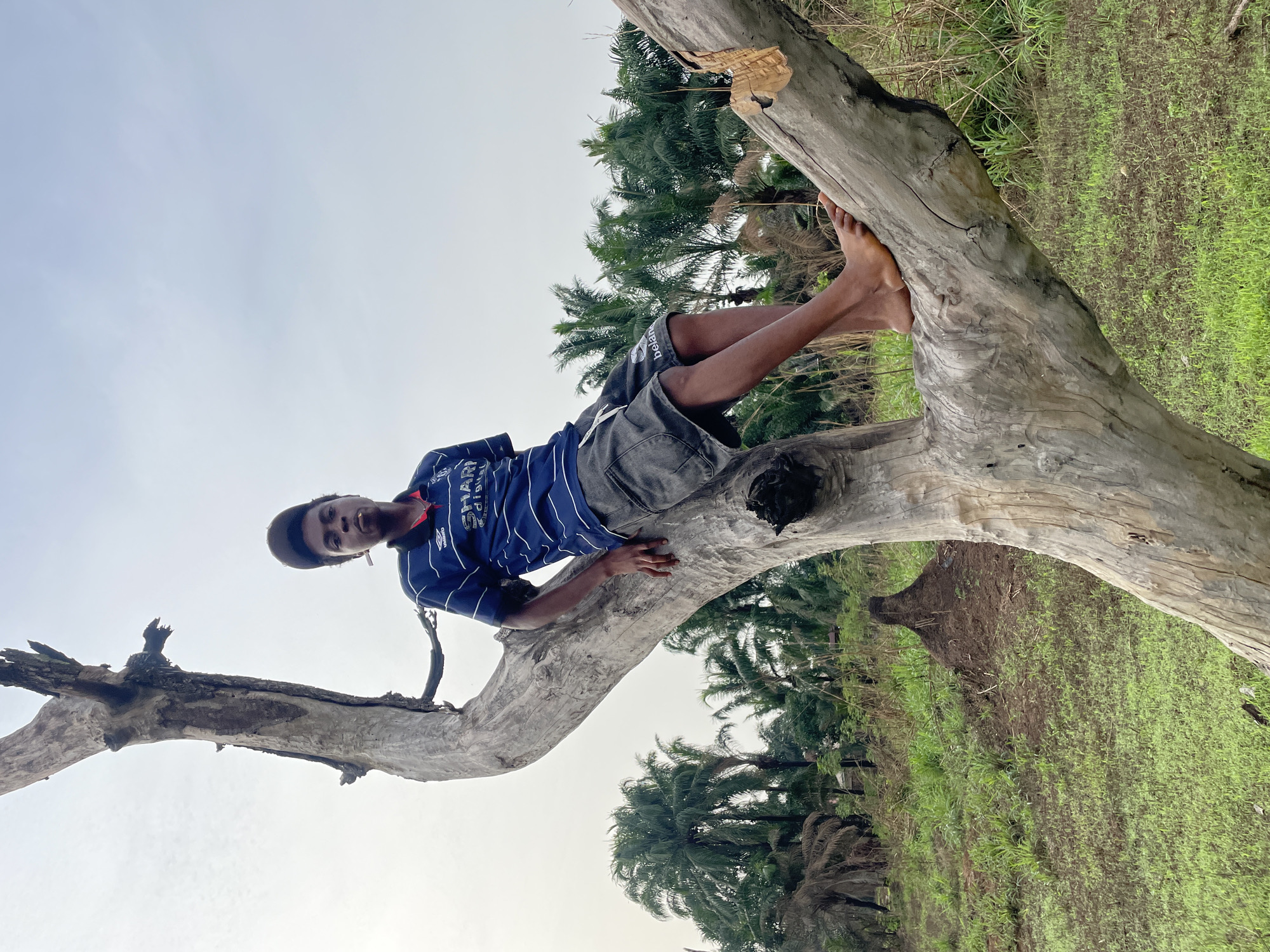 A young man is lying on a fallen, weathered tree trunk in what appears to be a rural setting near Agba Umana, Nigeria. The tree lies horizontally, with the man positioned on top, his torso resting on the trunk and his legs extended and crossed at the ankles near the thicker end of the trunk. He is wearing a blue and white striped shirt, gray shorts, and a baseball cap. His hands are placed on the tree trunk for support. The background includes a field of low-lying green vegetation and several palm trees. The sky is overcast.