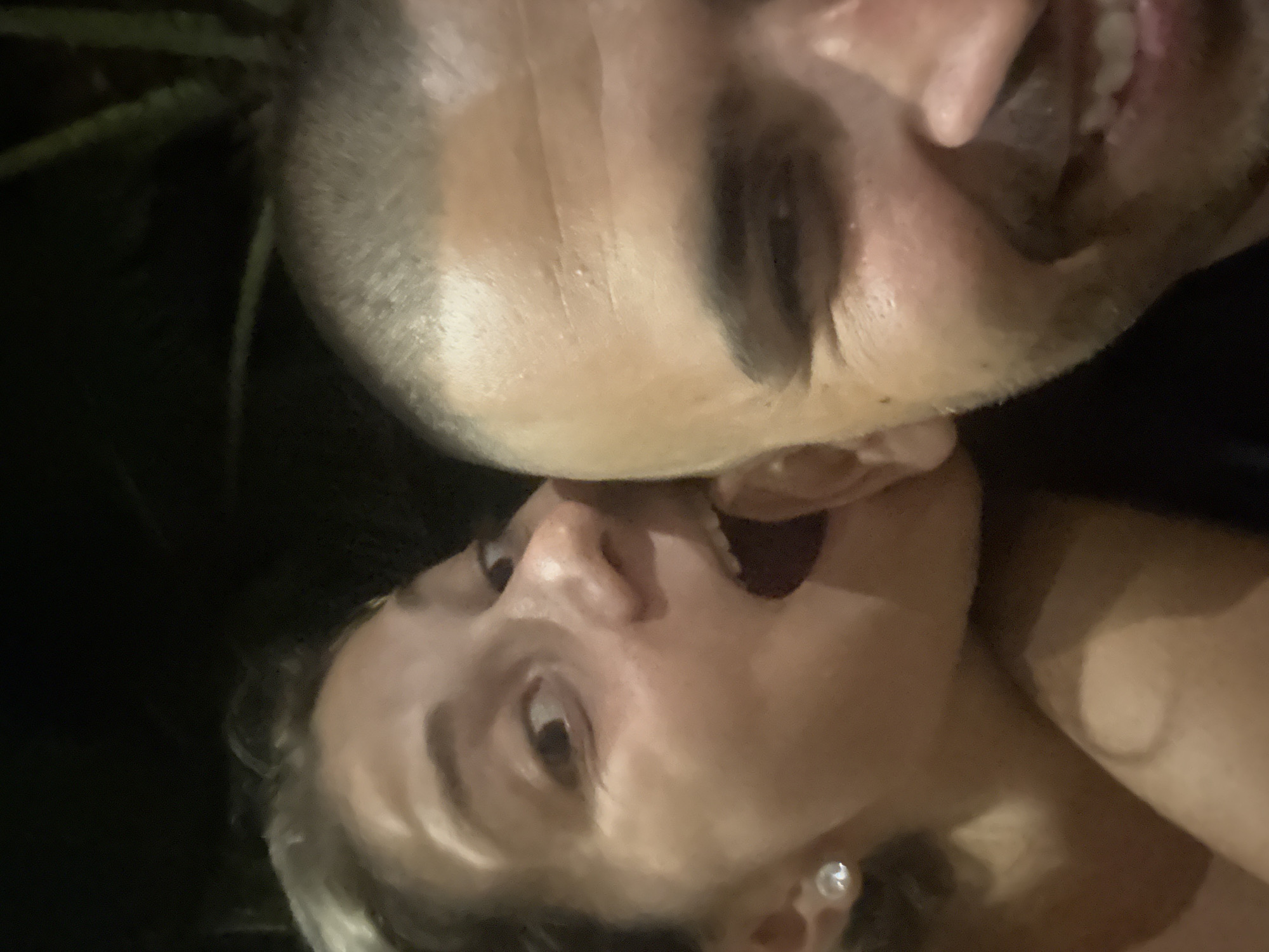 Two people are positioned close together with open mouths, appearing to be eating or acting like they are eating each other’s heads. The background is dark, with some foliage visible in the top left corner. A woman is in the foreground, angled upwards towards the man above. She has light skin, and an earring is visible on her left ear. The man has short hair, and darker facial features. There is no indication of a location within Đà Nẵng, Vietnam.