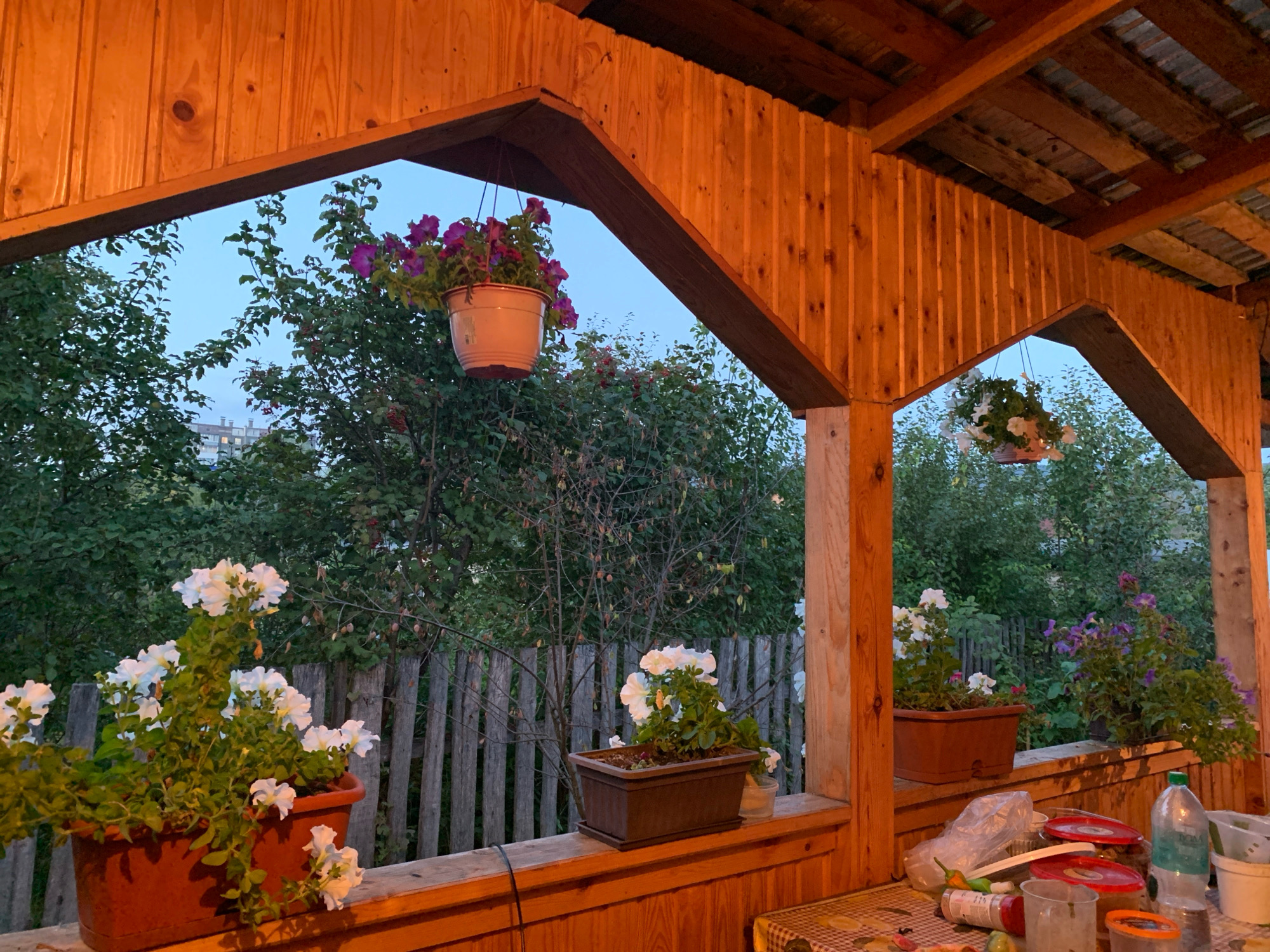The image depicts a wooden porch with hanging flower baskets and potted plants. The porch is constructed from warm-toned wood and is supported by wooden beams. In the foreground, on the porch railing, are two brown planters filled with white flowers. To the left, a larger, reddish-brown planter overflows with white petunias. To the right, a rectangular dark brown planter holds a smaller arrangement of white flowers. Behind the porch, a rustic wooden fence separates the area from a dense green backdrop of trees and foliage. Two hanging baskets with purple petunias are visible, one on the left suspended from the porch roof and another to the right, further in the background. The sky appears to be a soft twilight blue. On the table on the right side of the porch, various objects are scattered, including plastic bags, food containers, a bottle of water, and a white bucket. The lighting suggests it is evening, with warm illumination from an unseen source. The scene is characteristic of a residential outdoor space, possibly a dacha or a house in a suburban or rural area. This setting aligns with the typical residential architecture found in cities like Asha, Russia, particularly in dacha communities surrounding the city.