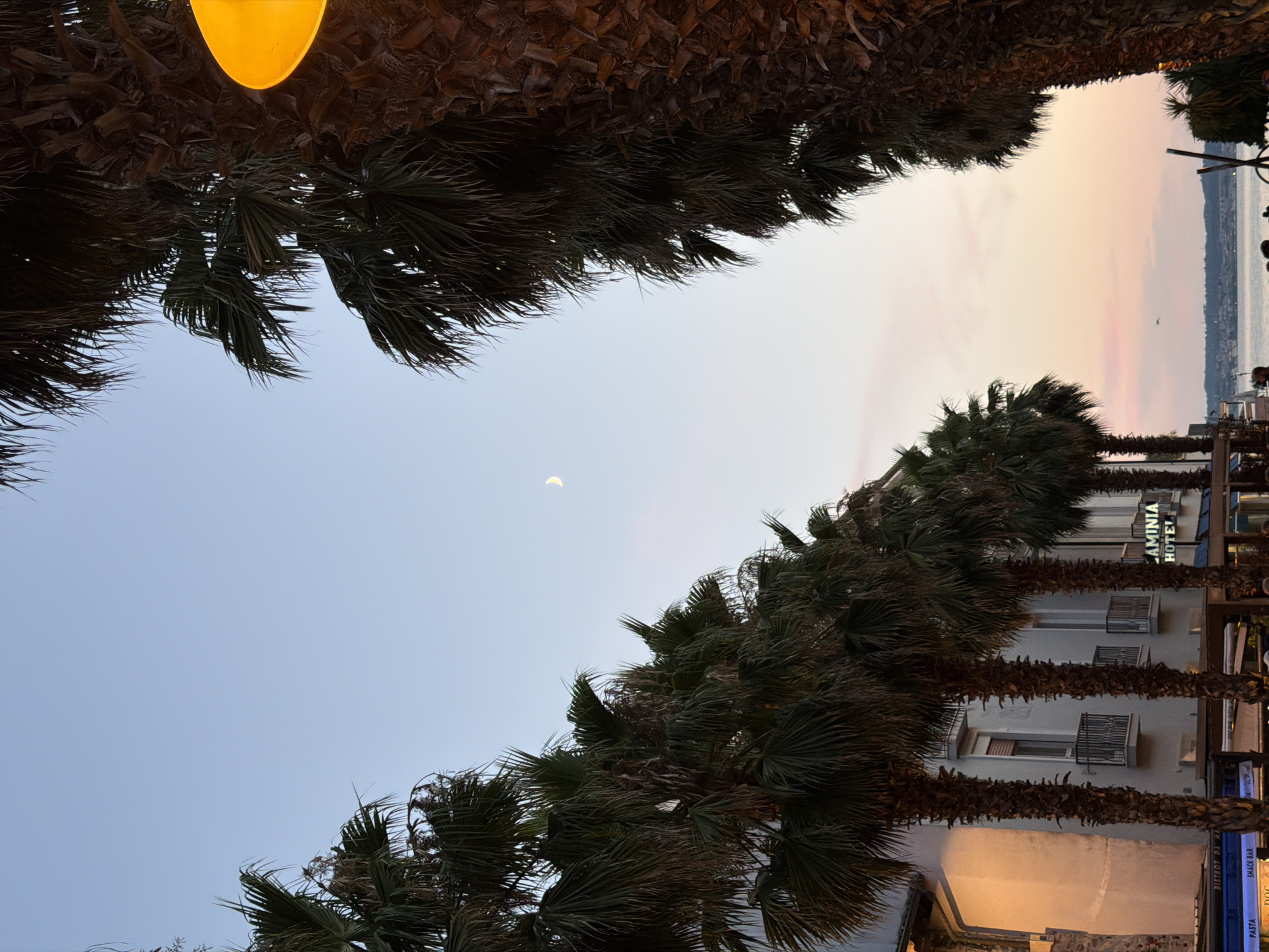 The image depicts a picturesque scene in Sirmione, Italy, likely taken during twilight. A line of tall palm trees lines the left side of the frame, their fronds casting shadows and framing the facade of buildings. One building prominently displays a sign that reads "LAMINIA HOTEL". The sky is a gradient of soft blues and pinks, with a sliver of the moon visible near the top center. On the right side of the image, another large palm tree trunk dominates the foreground, with a glowing yellow light fixture visible near its top. In the distance, a body of water, likely Lake Garda, is visible with a hazy shoreline. Some people can be faintly seen in the lower right portion of the image, suggesting a public area or walkway.