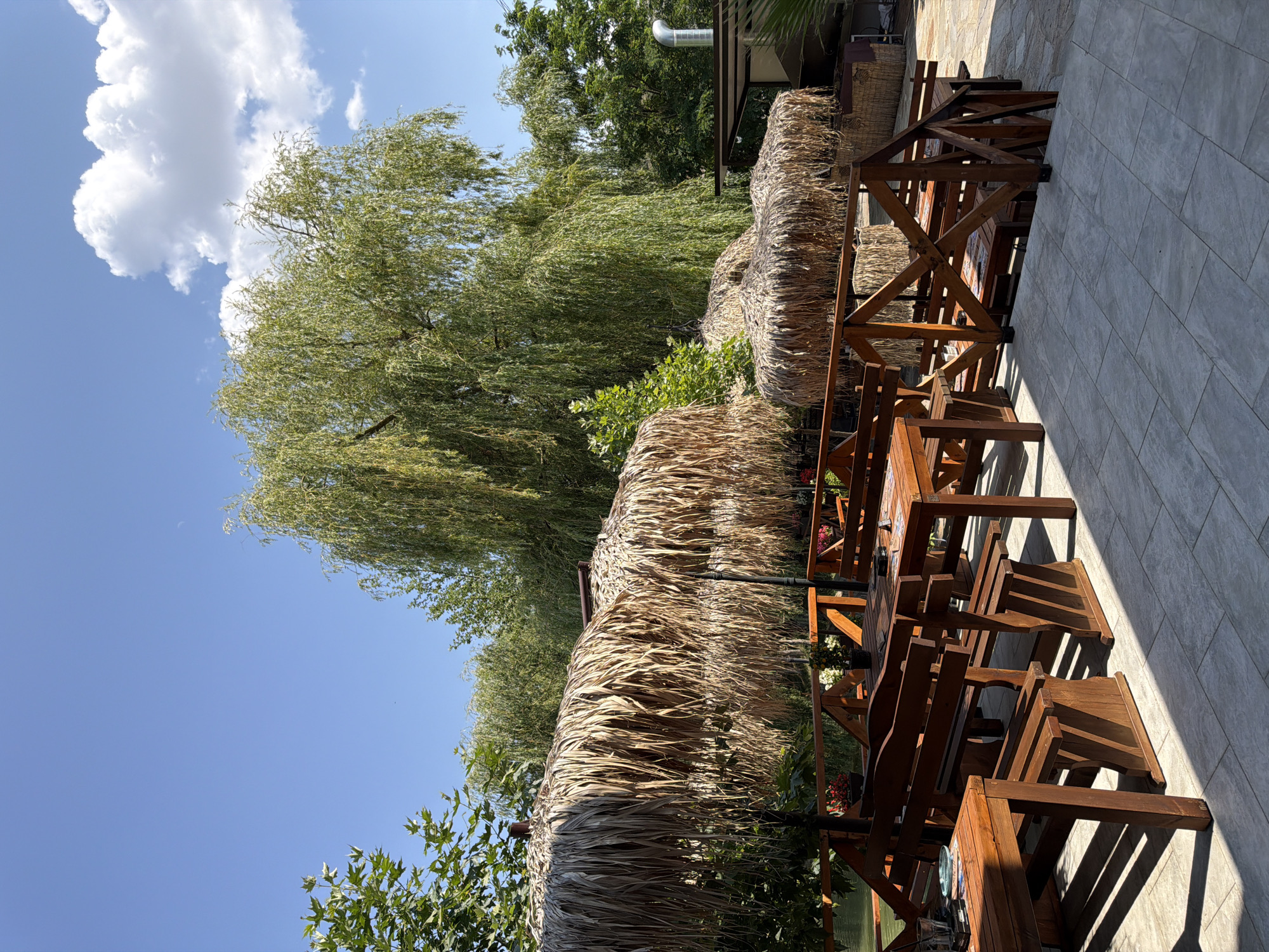 An outdoor seating area with thatched umbrellas and wooden tables and benches is shown on a sunny day. The area is paved with light-colored tiles. In the background, a large weeping willow tree stands prominently against a blue sky with a few white clouds. Lush green trees surround the seating area. A body of water is visible to the left, beyond a wooden railing. The scene depicts a tranquil outdoor dining or relaxation spot, possibly part of a restaurant or cafe, located in Gorna Malina, Bulgaria.