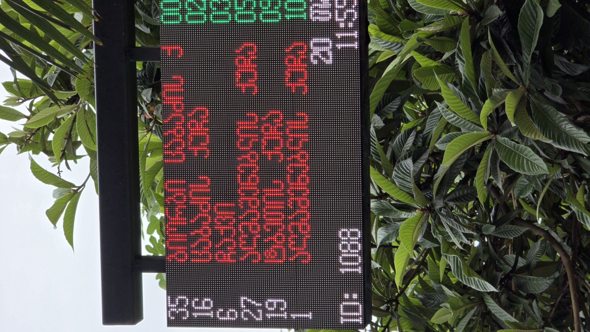 An outdoor LED display shows a scoreboard with white numbers on the left, red text in the center, and green numbers on the right. The white numbers on the left read "35", "16", "6", "27", "19", and "1". The red text in the center appears to be in Georgian script and is partially obscured by leaves. The green numbers on the right read "00", "02", "05", "09", "10", and "04". At the bottom left of the display, "ID: 1088" is shown in white. To the right of the red text, the numbers "20" and "11:59" are displayed in white. The display is mounted on a black metal frame, with lush green foliage of a tree in the foreground and background, obscuring parts of the display and frame. The sky is overcast. This image was taken in Batumi, Georgia.