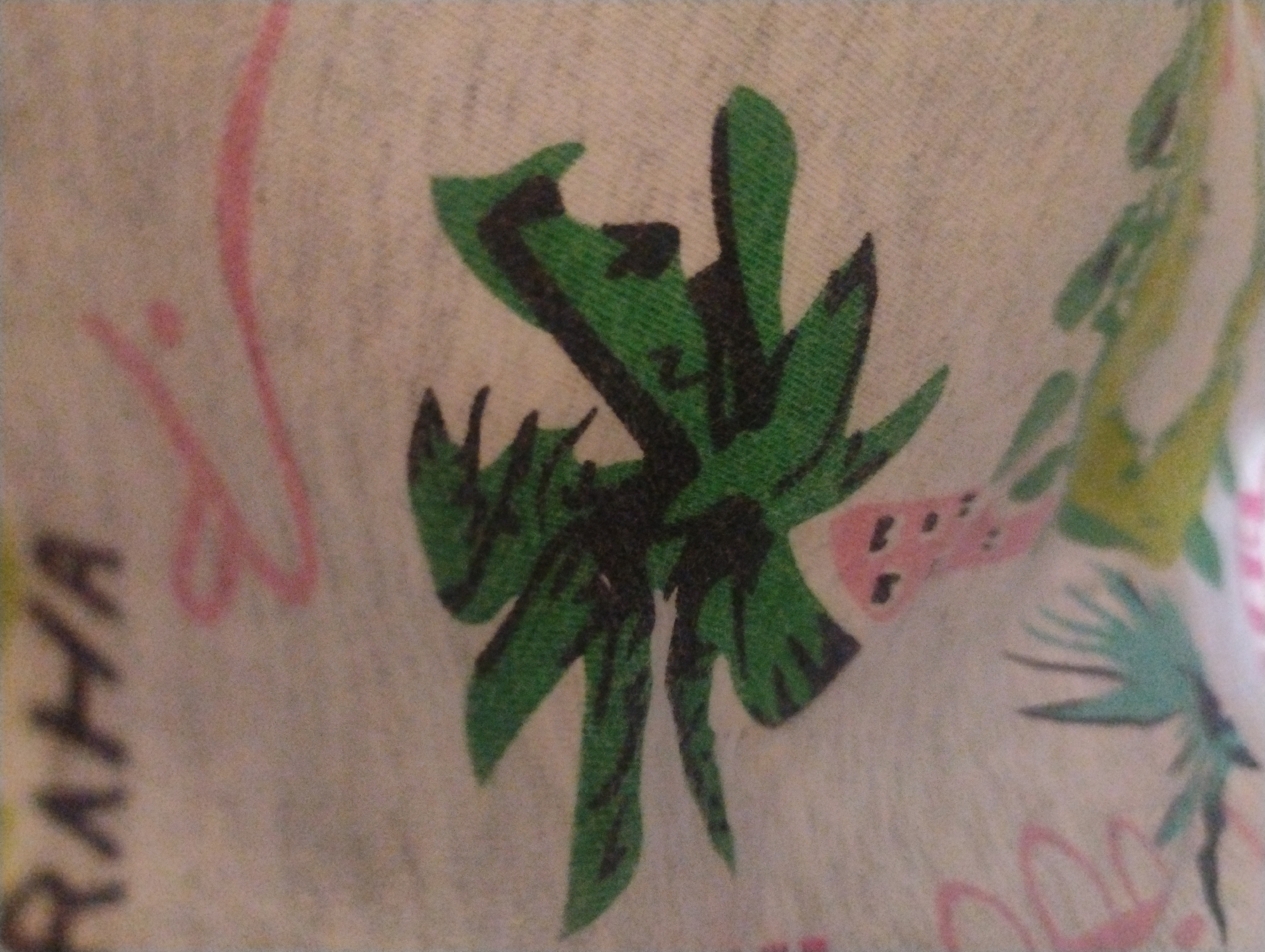 This image shows a close-up of a fabric with a printed design. The design features a stylized green creature, possibly a bird or a dragon, with outstretched wings, rendered in a somewhat abstract manner. The creature is primarily green with black outlines and some internal black detailing suggesting feathers or scales. To the upper left of the creature, the word "RAHA" is visible in dark, blurry letters. There are also abstract pink and red lines and shapes in the background, and to the lower right, a pink, stylized face with black dots for eyes is visible, possibly part of a larger design or another character. The fabric appears to be light-colored, possibly a natural material like cotton or linen, with visible texture from the weave. There is no information in the image to indicate a specific location in the city of Rumyantsevo, Bulgaria.