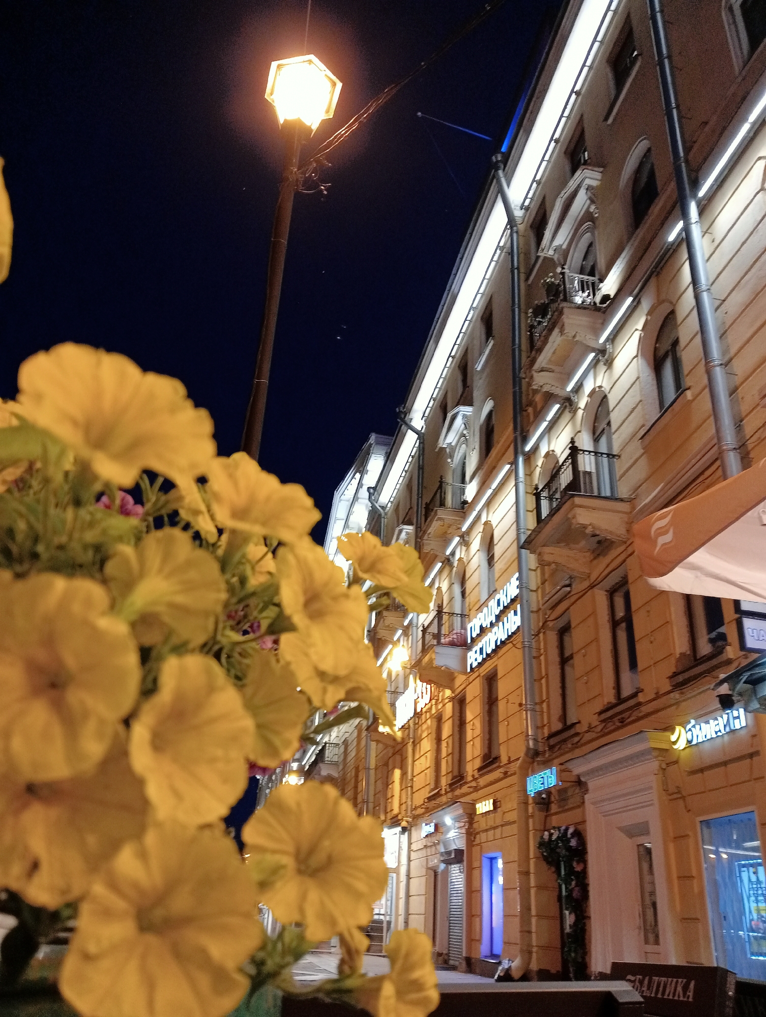 This is a low-angle, close-up shot of yellow petunia flowers in the foreground, with a street scene in the background at night. The street is lined with a multi-story building featuring architectural details such as balconies, arched windows, and decorative cornices. The building is illuminated by warm-toned lights and neon signs, one of which reads "ГОРОДСКИЕ РЕСТОРАНЫ" (City Restaurants). Another neon sign, in blue, reads "ЦВЕТЫ" (Flowers). A lamppost with a hexagonal lantern illuminates the scene. The sky is dark blue. The overall impression is of a charming, well-lit street in a European city. Based on the Cyrillic signage, the location is Saint Petersburg, Russia. There are no people visible in the frame.